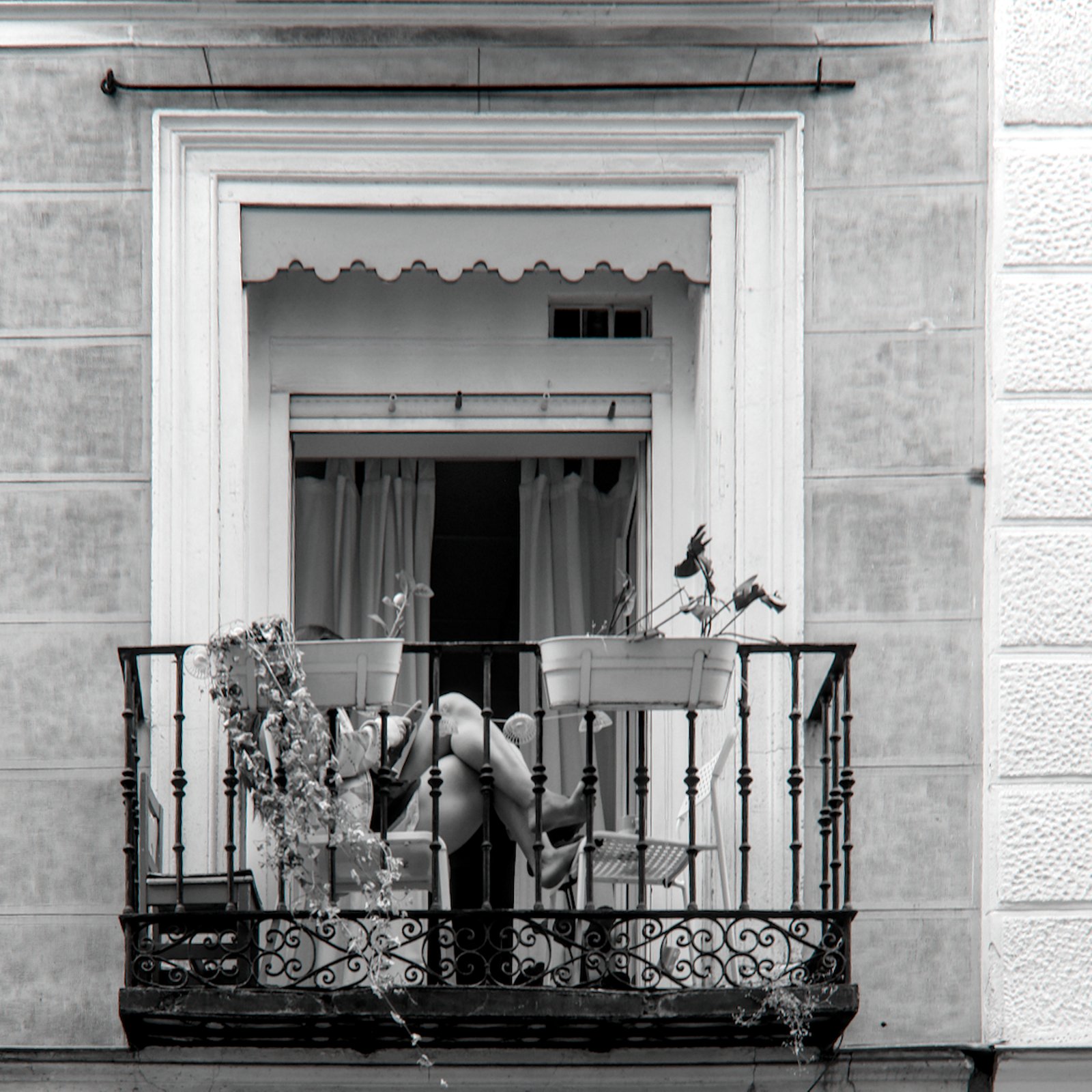 DSCF3833.jpg