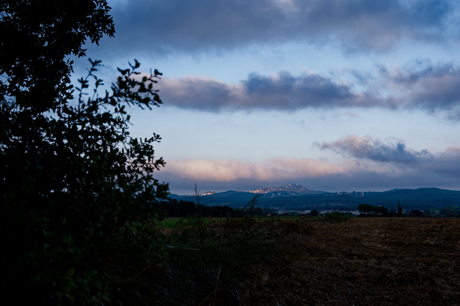 DSCF4107.jpg