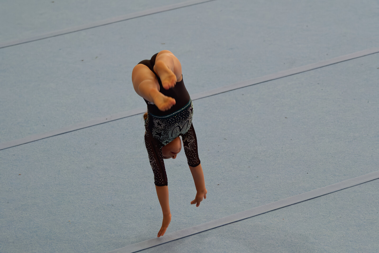 DSCF4341.jpg
