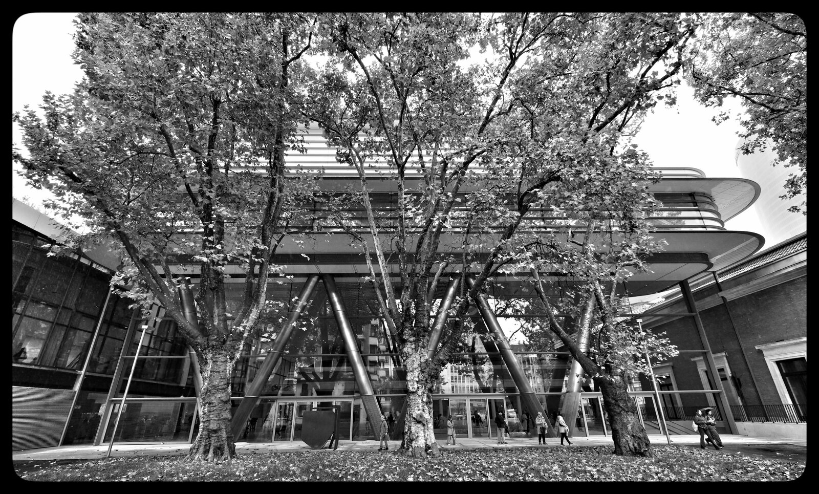 DSCF4431_SnapseedCopy.jpeg