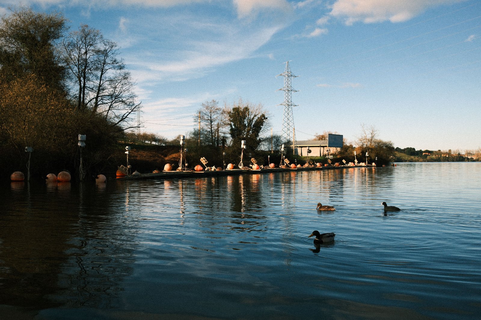 DSCF4539.jpg