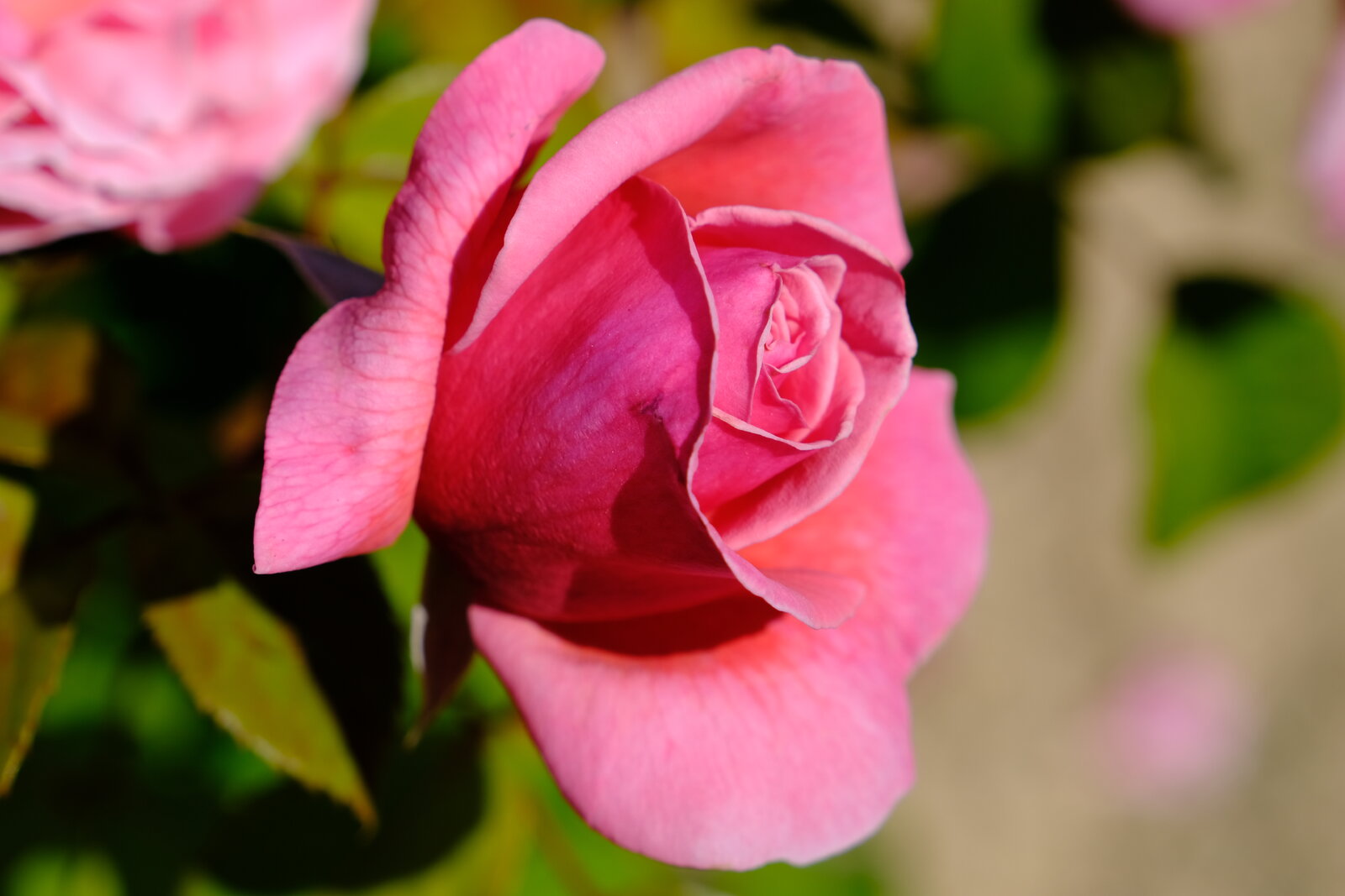 DSCF4719.JPG