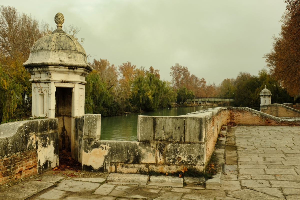 DSCF4761.jpg