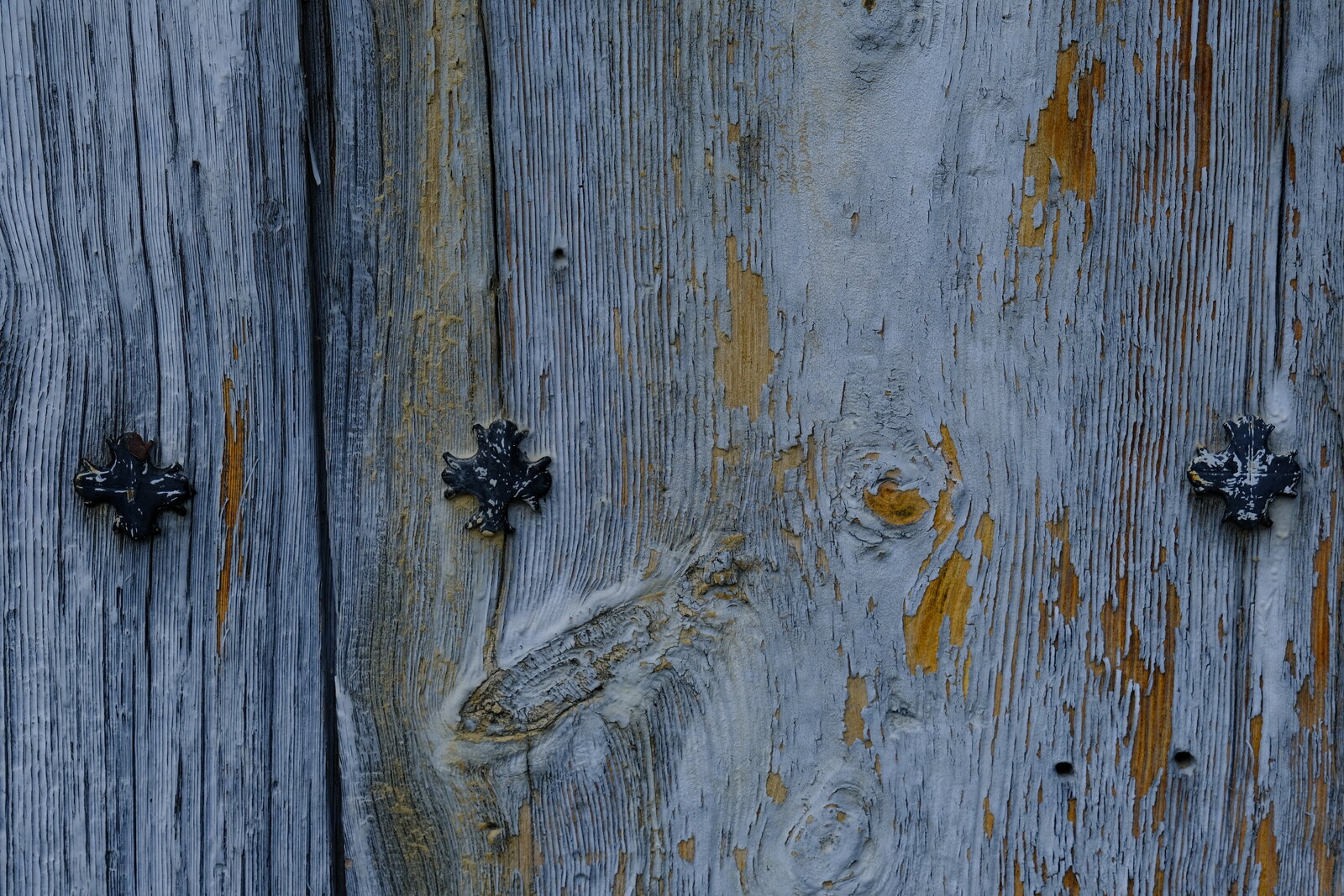 DSCF4944.JPG