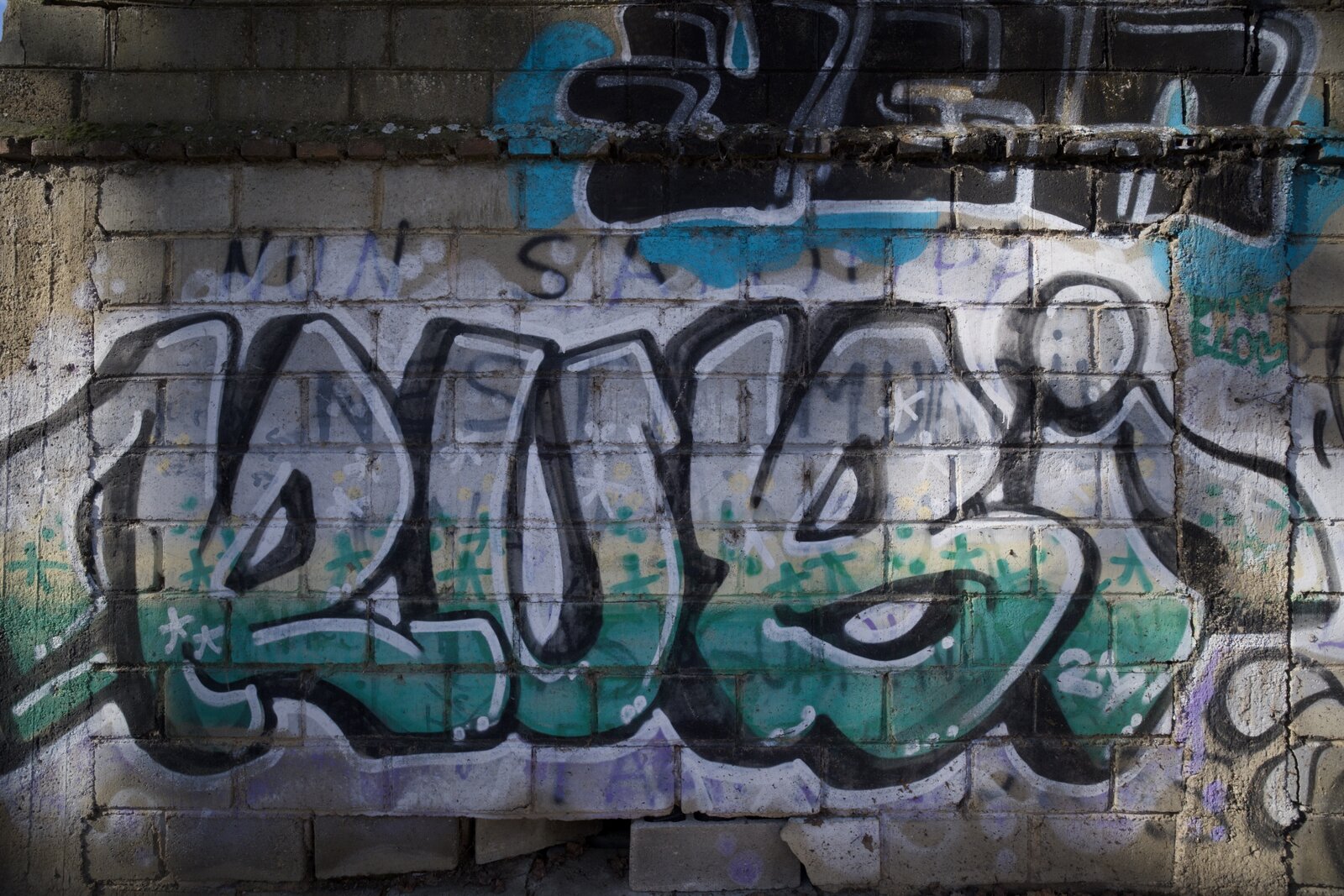 DSCF5122.jpg