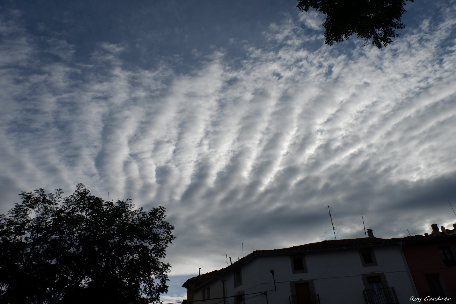 DSCF5223.JPG
