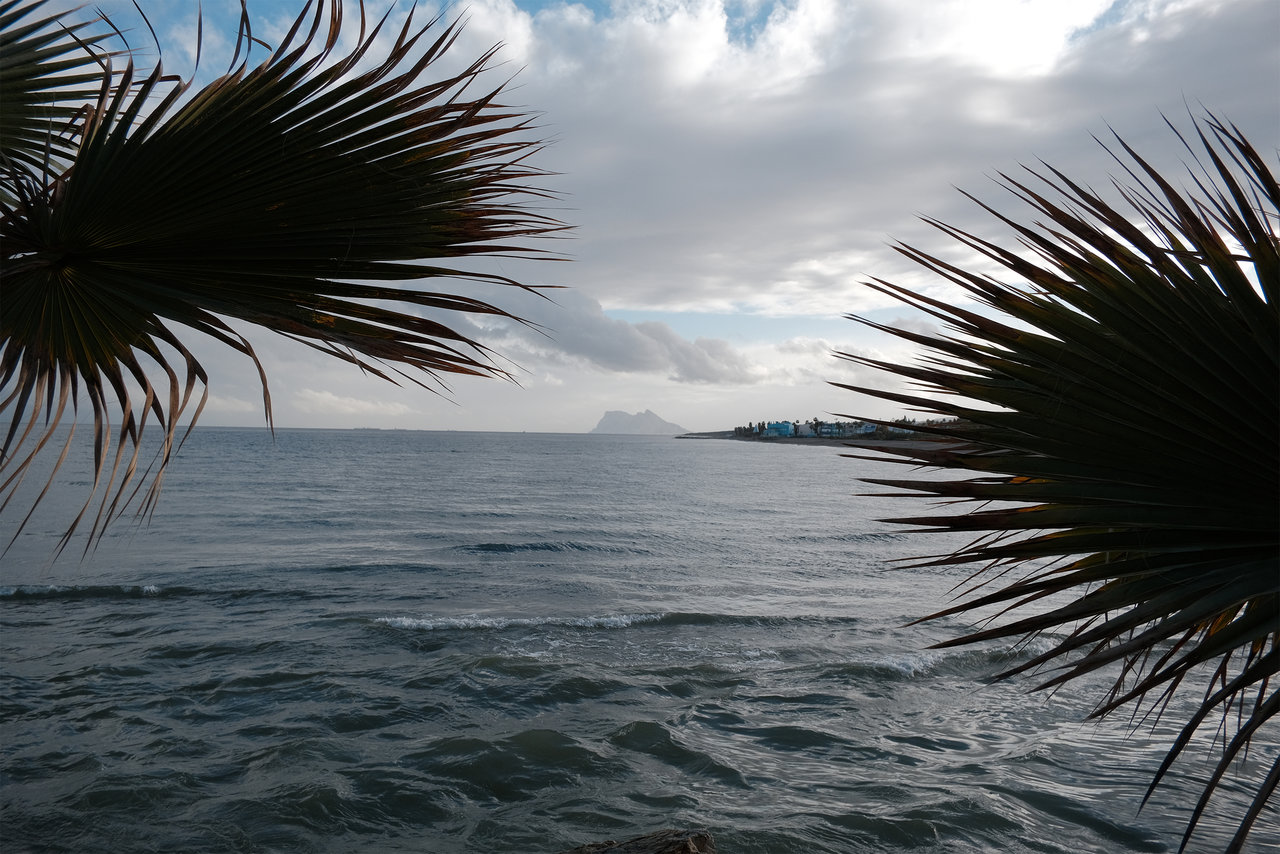 DSCF5288.jpg