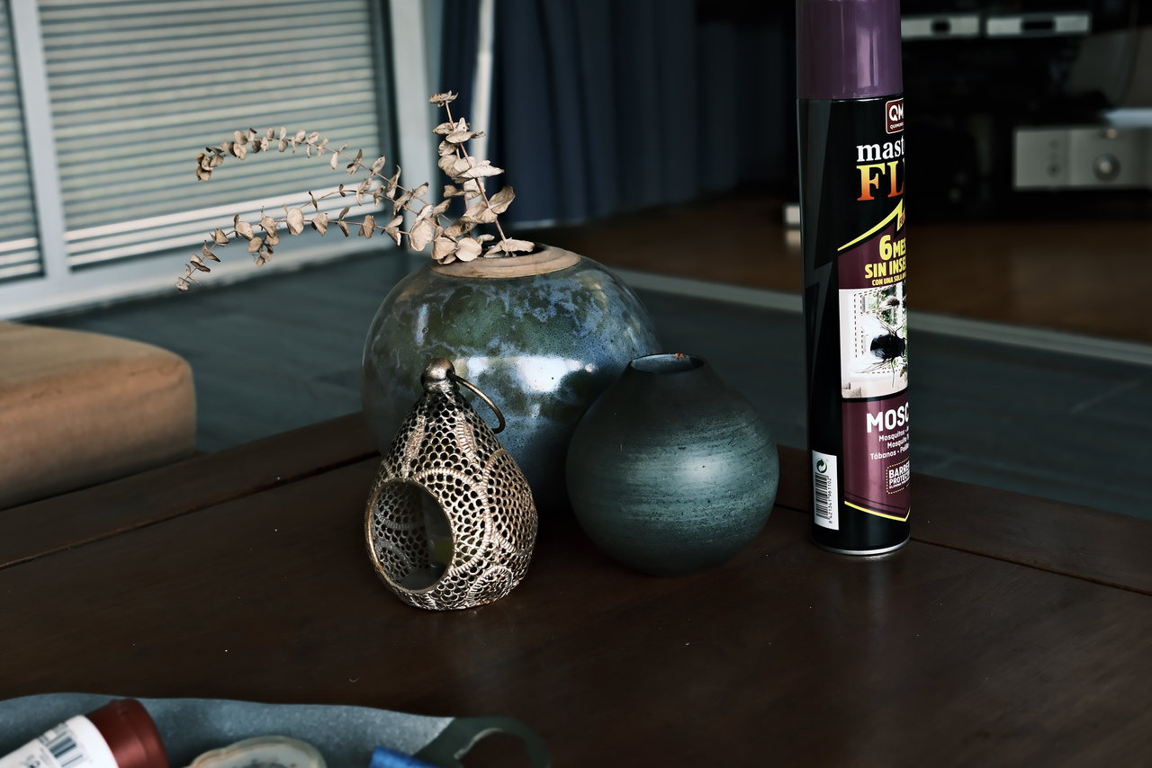 DSCF5380.JPG