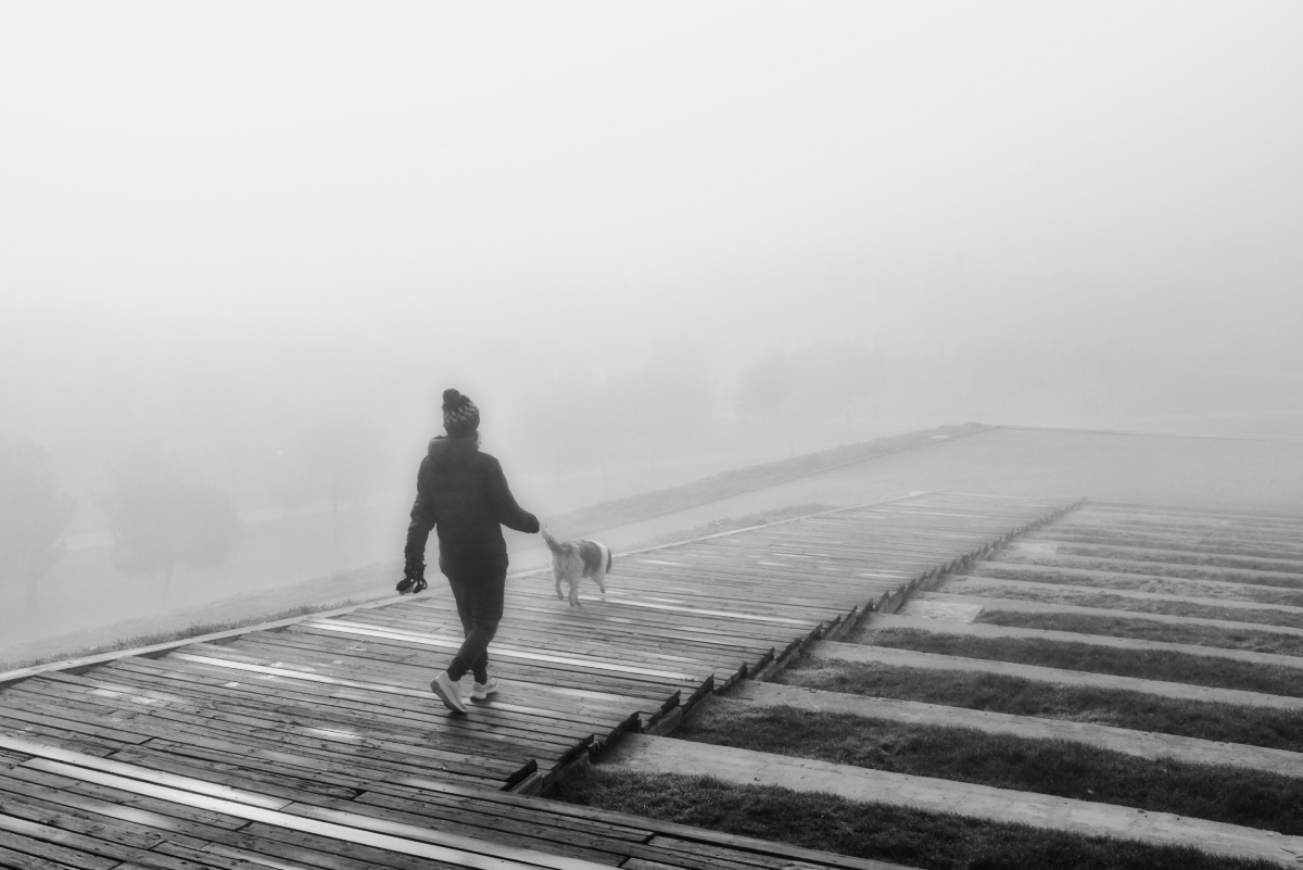 Escalera a la niebla