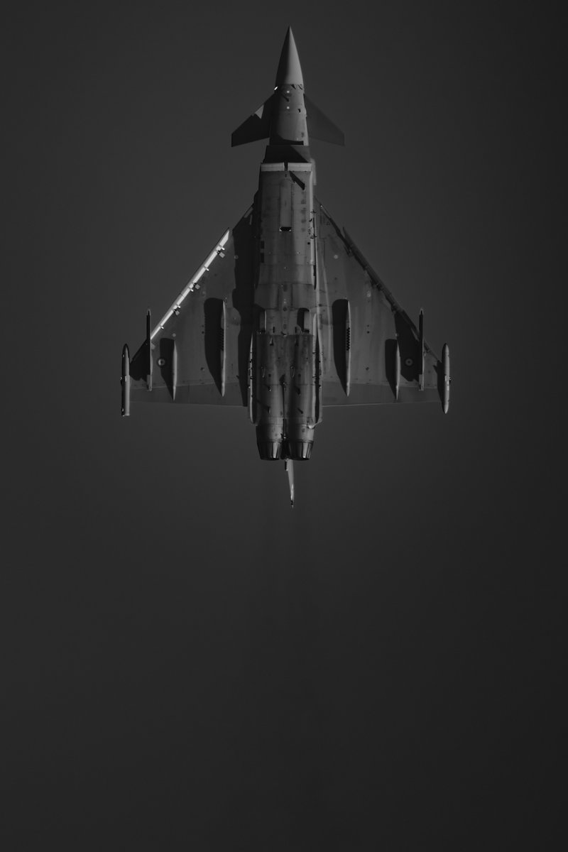 Eurofighter (B&W)