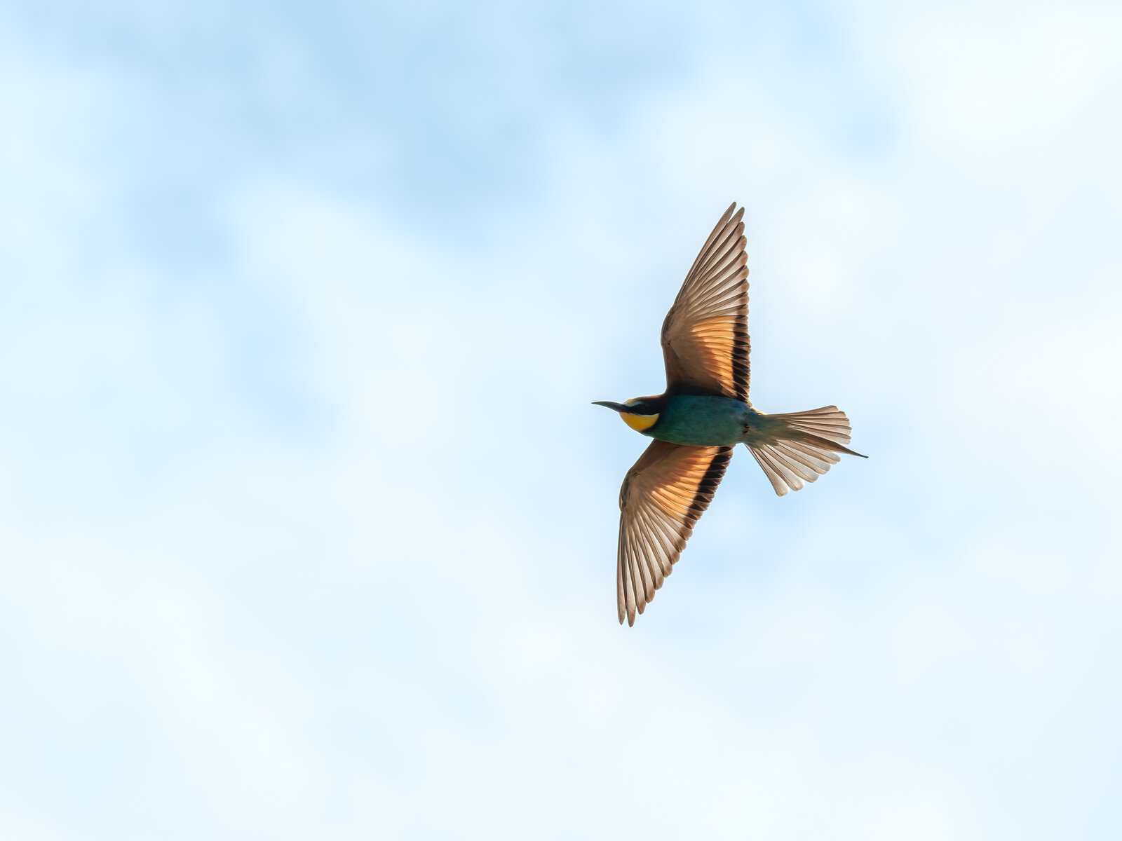 DSCF5502.jpg