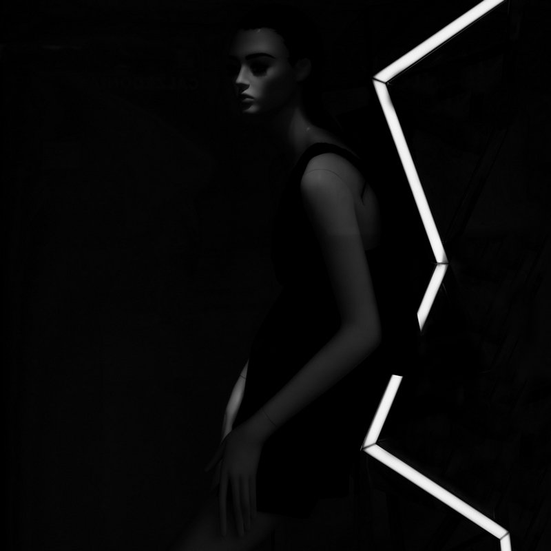 DSCF6246fs.JPG