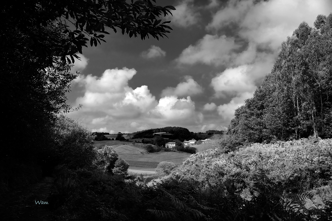 Paisaje "de aldea"
