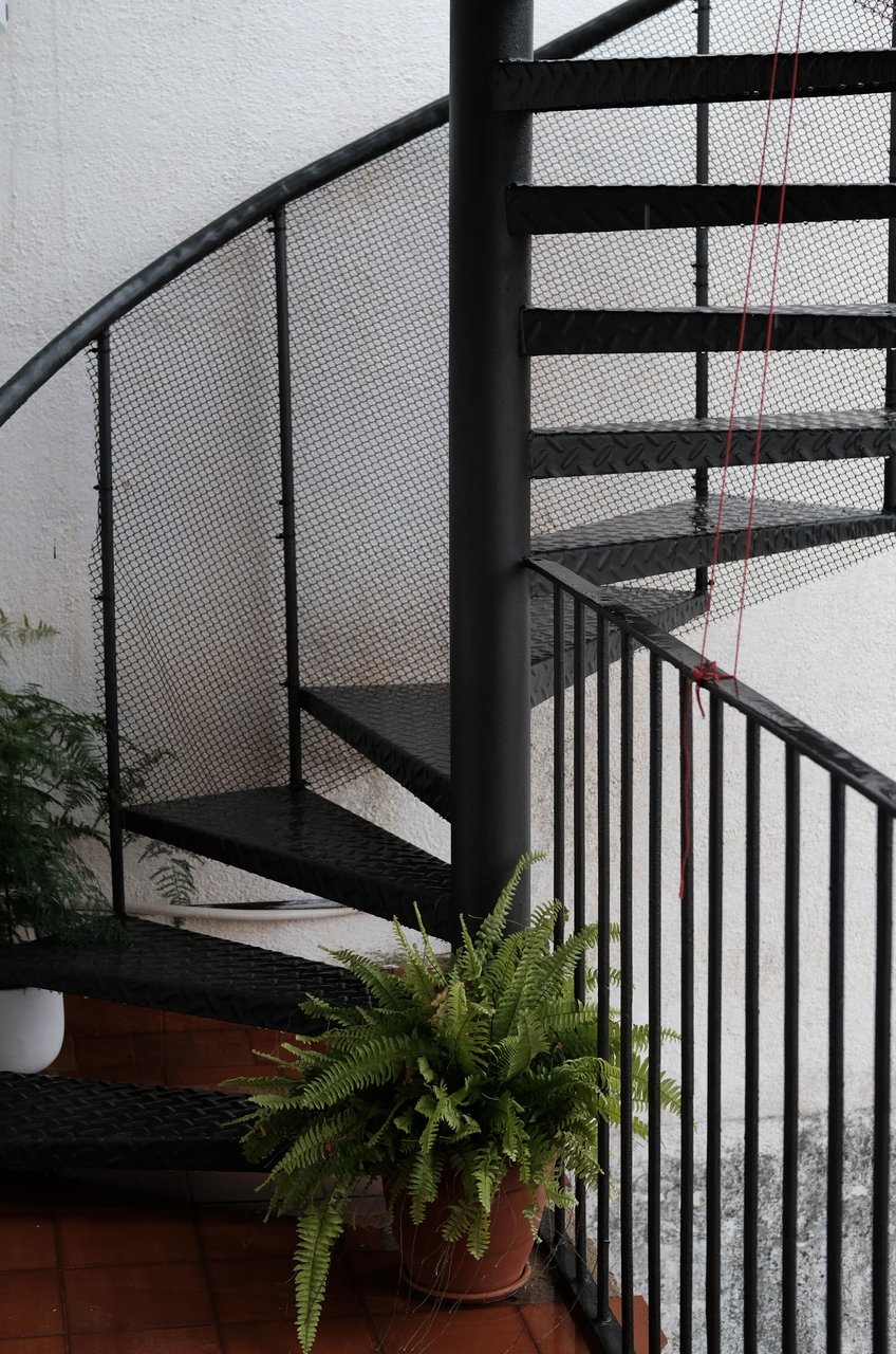 Lineas