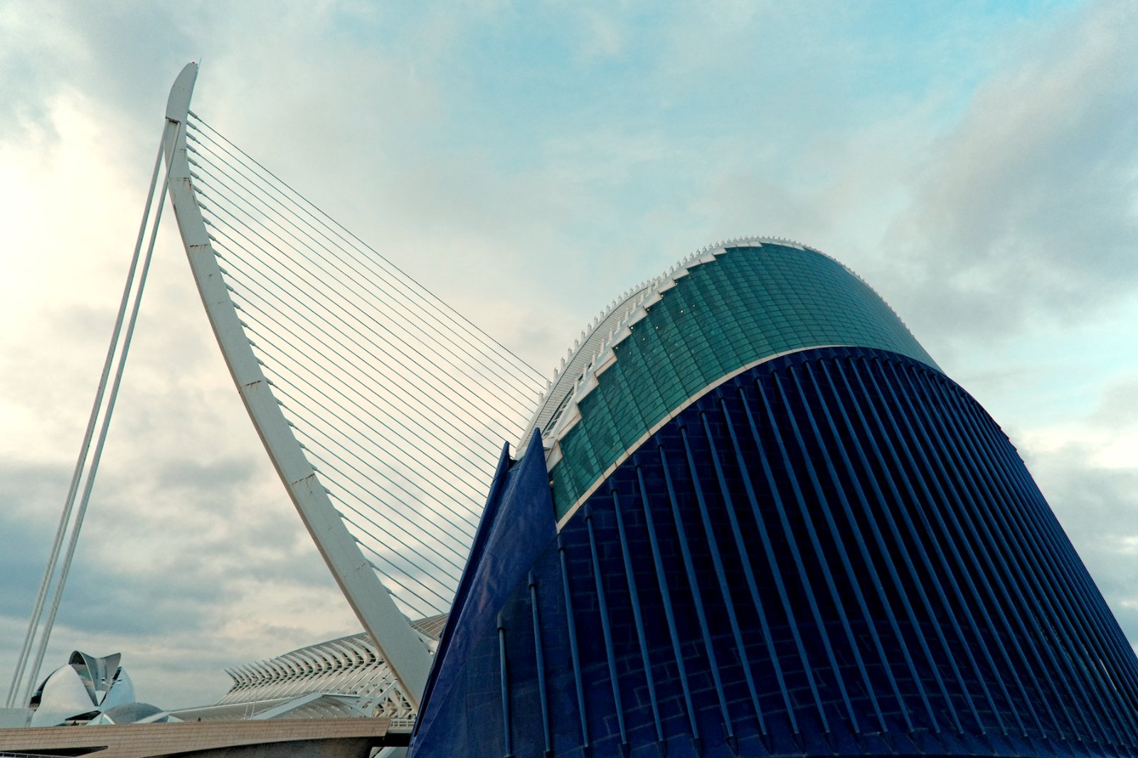 DSCF6978.jpg