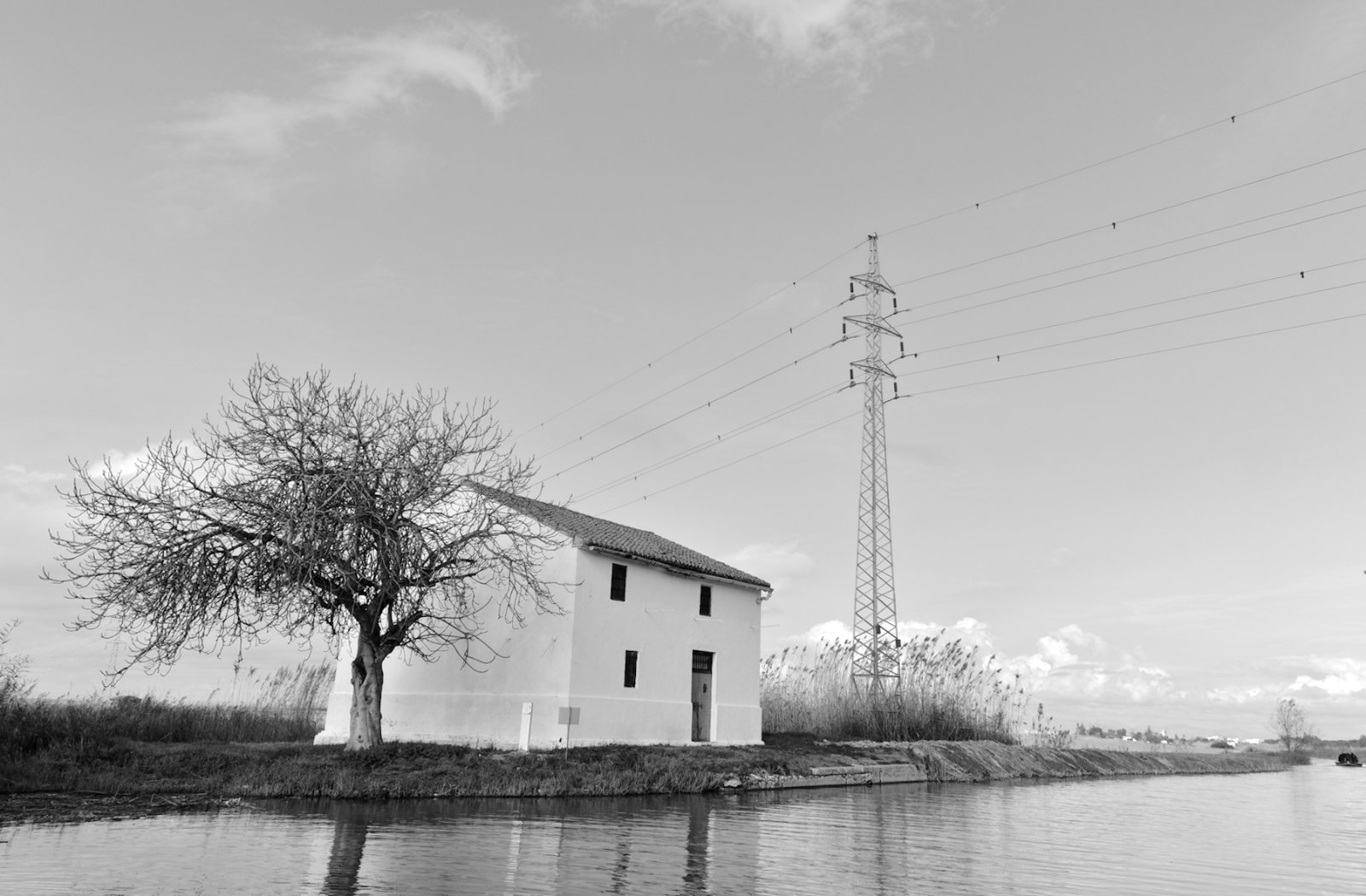 DSCF7163.jpg