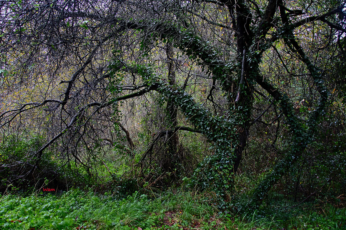 Dos "Sin título" del fin del otoño