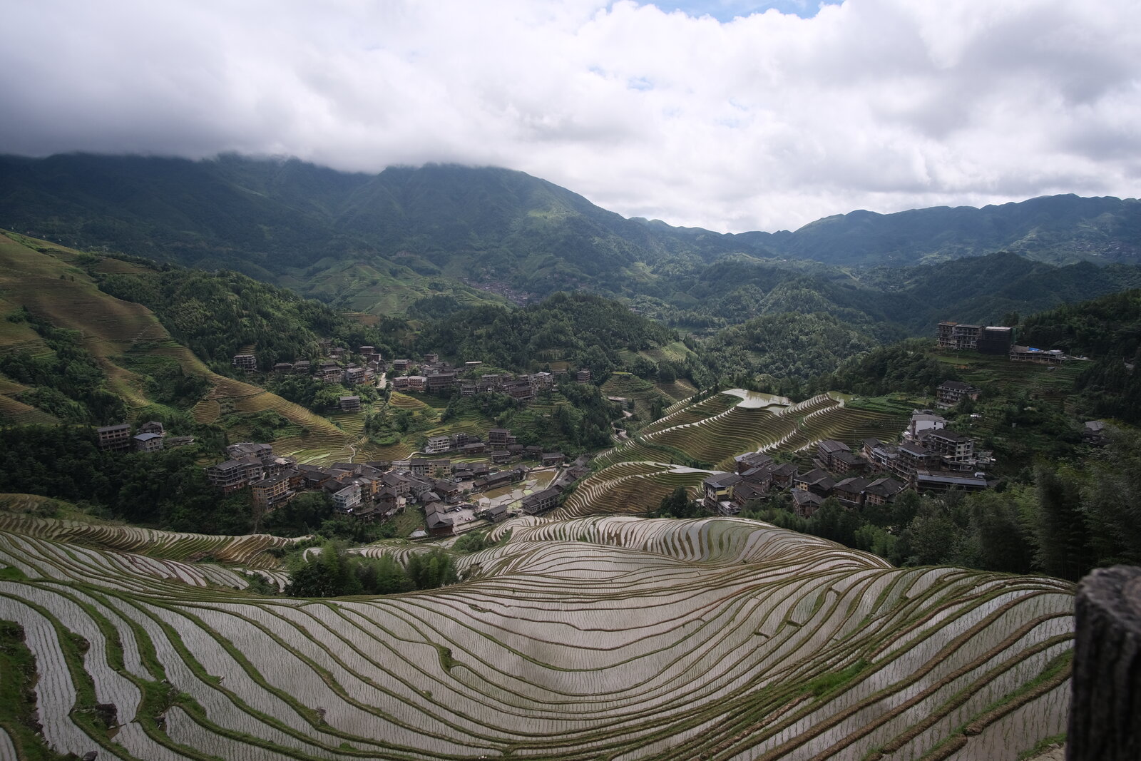DSCF7373.JPG