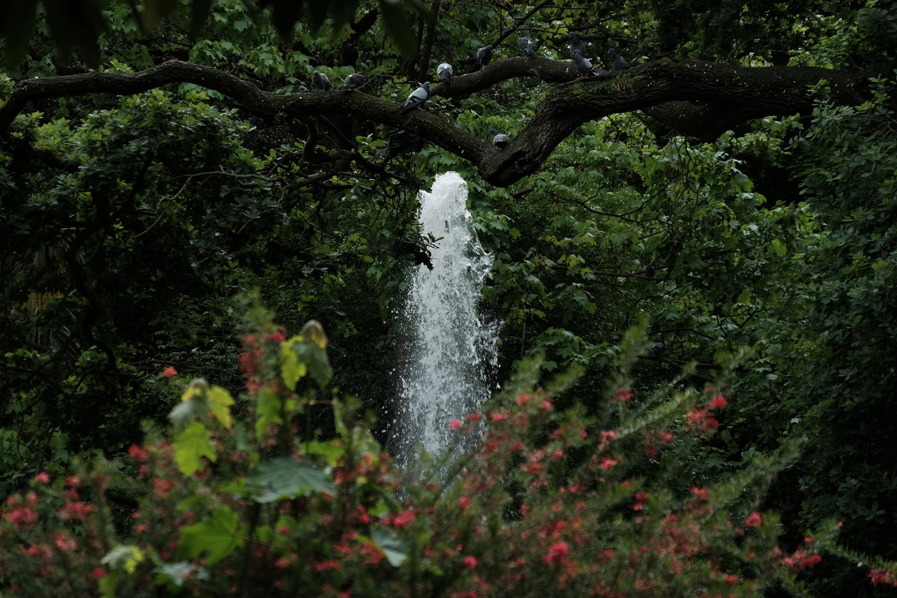 DSCF7588.JPG