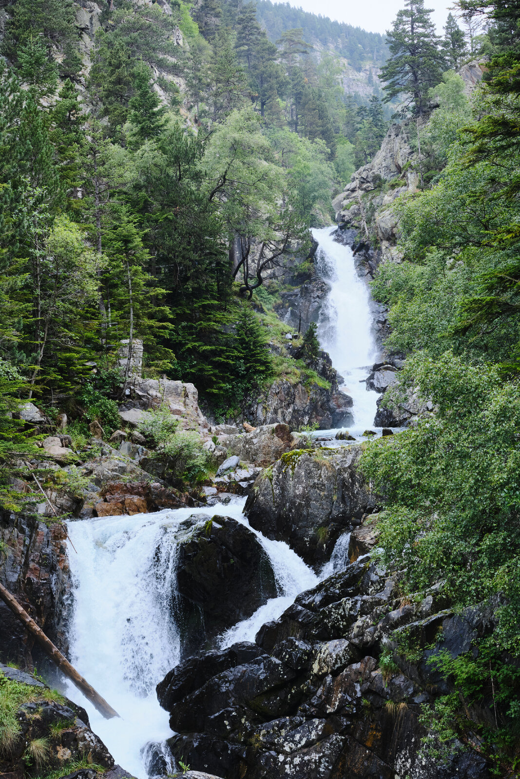 DSCF7771.jpg