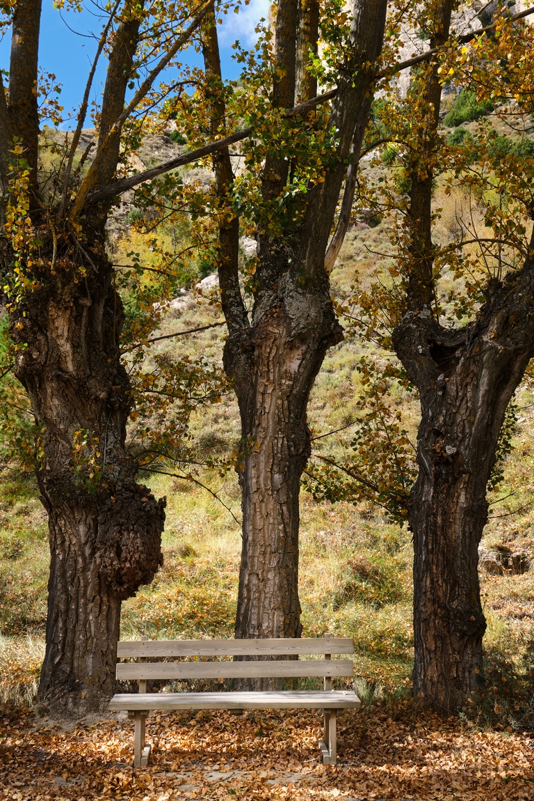 DSCF8406 (Copiar).jpg