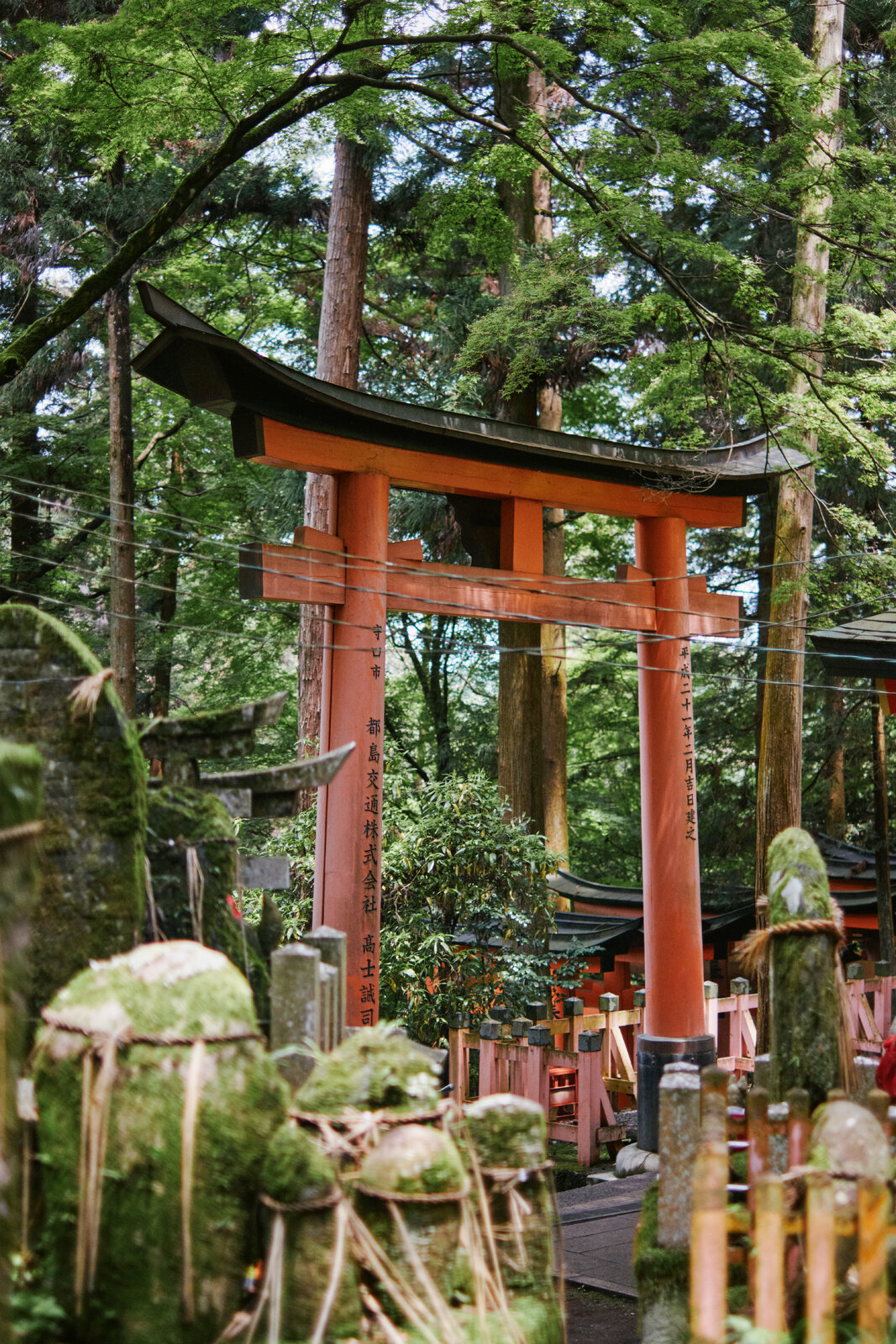 DSCF8469.jpg