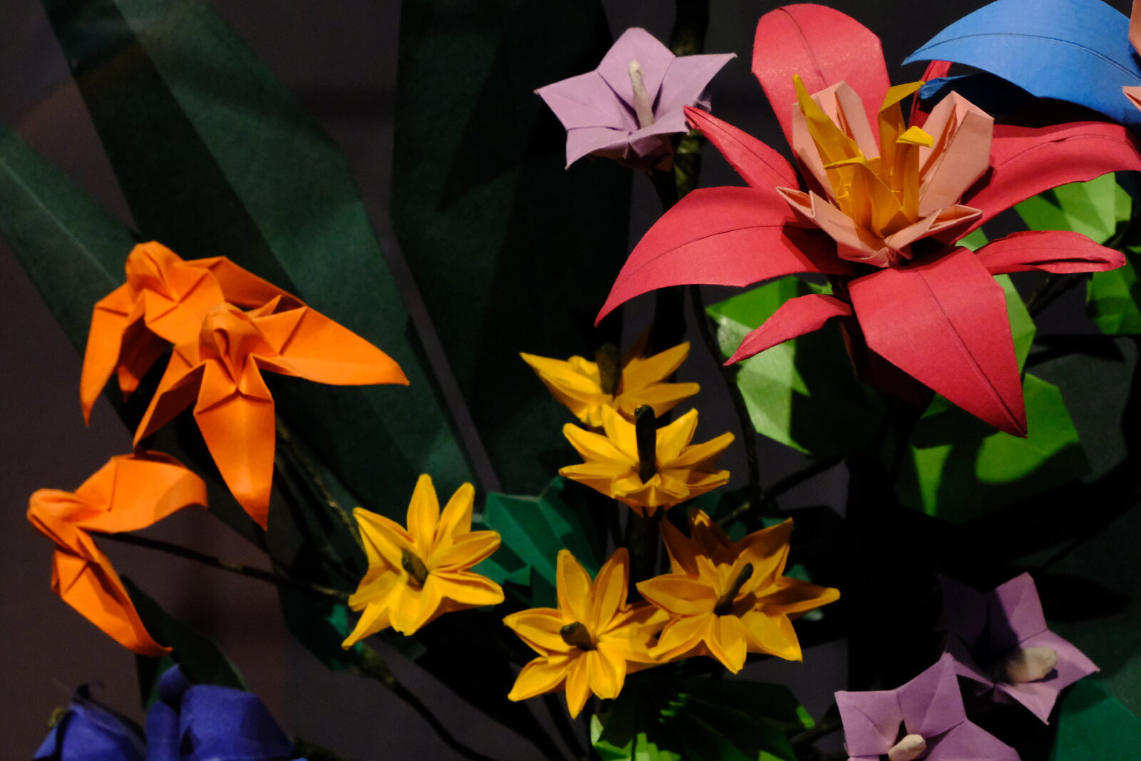 DSCF9626.JPG