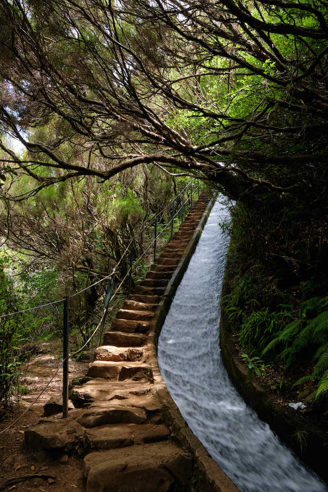 El camino del Agua Levada.jpg