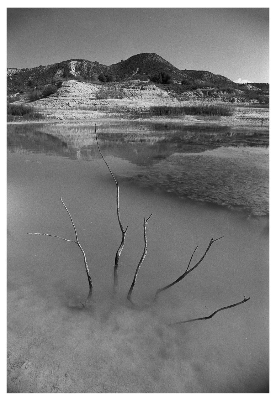 embalse de la pedrera 2 noviembre 2024 om1 50 1.4 y 20 3.5 filtro naranja foma 100 rodinal 1+5...jpg