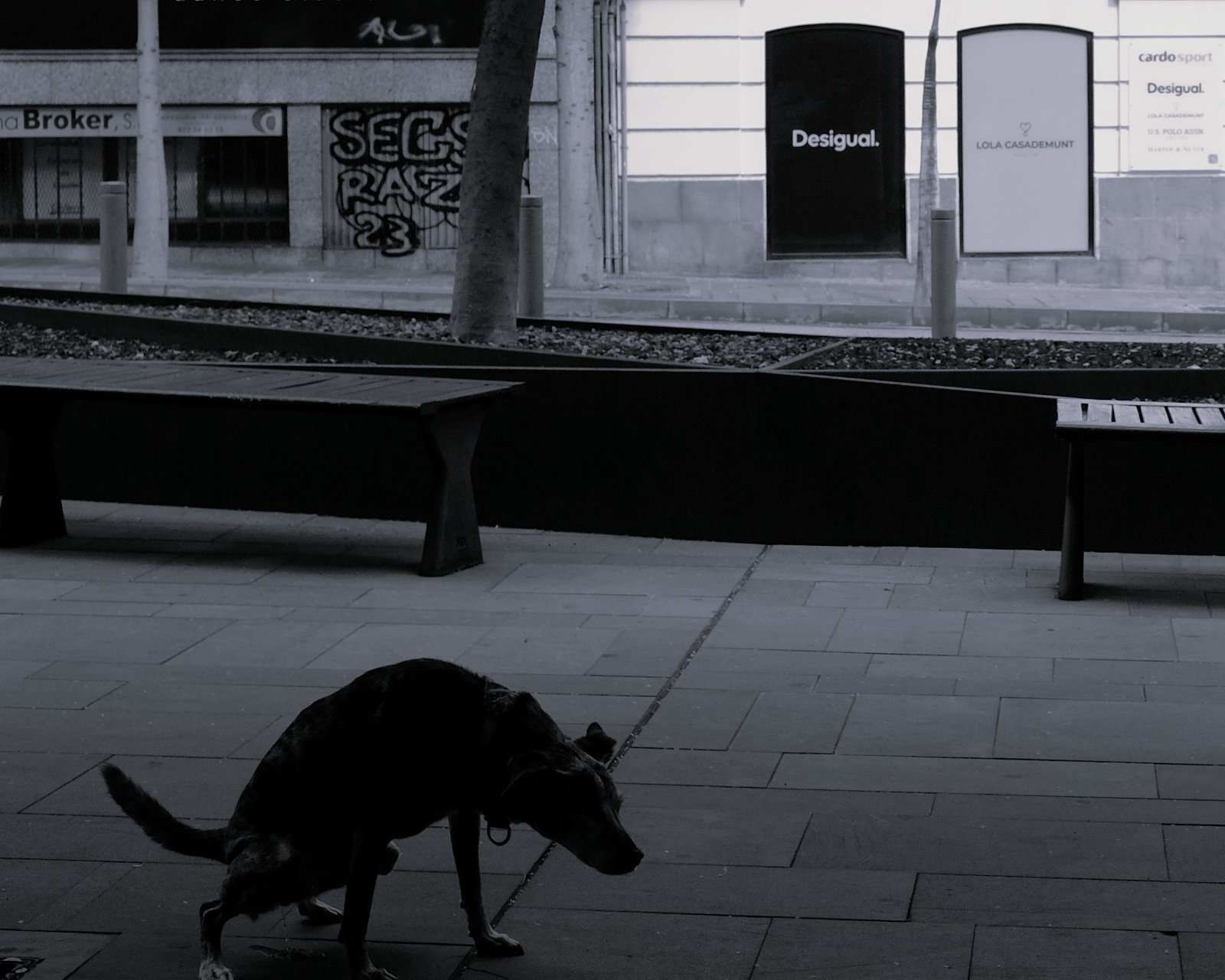 En busca de la luz, 47.JPG