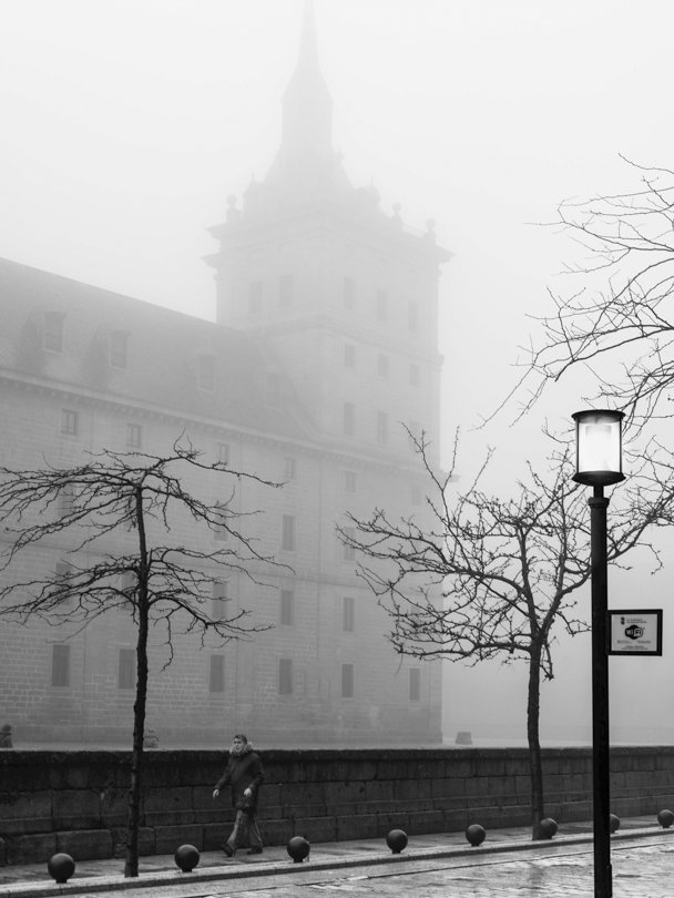 Cinemática niebla