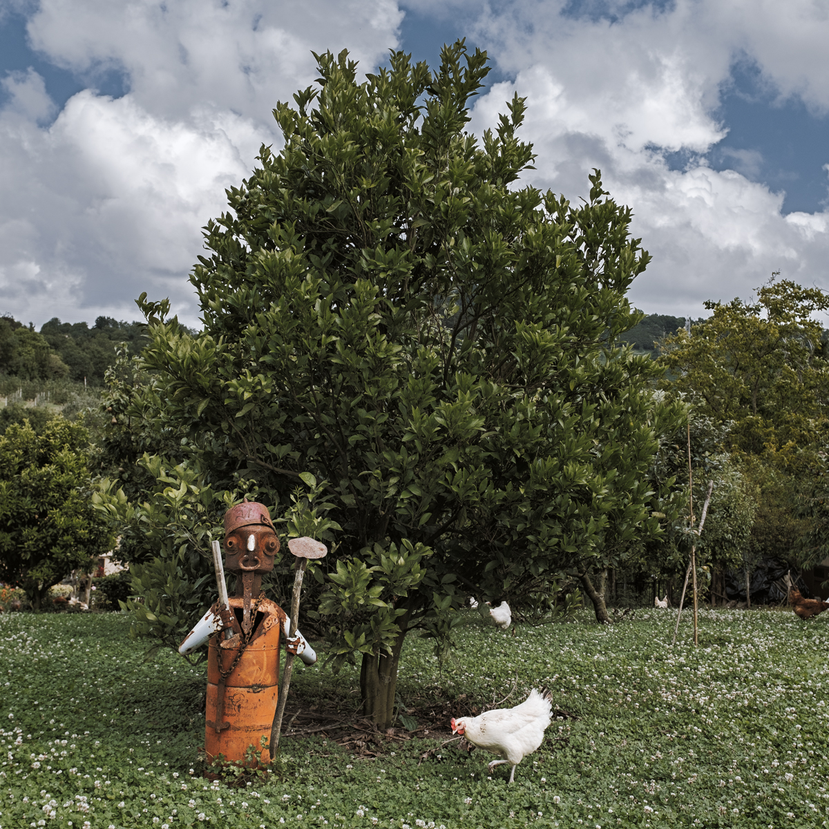 Espantapájaros. Hernani, 2020