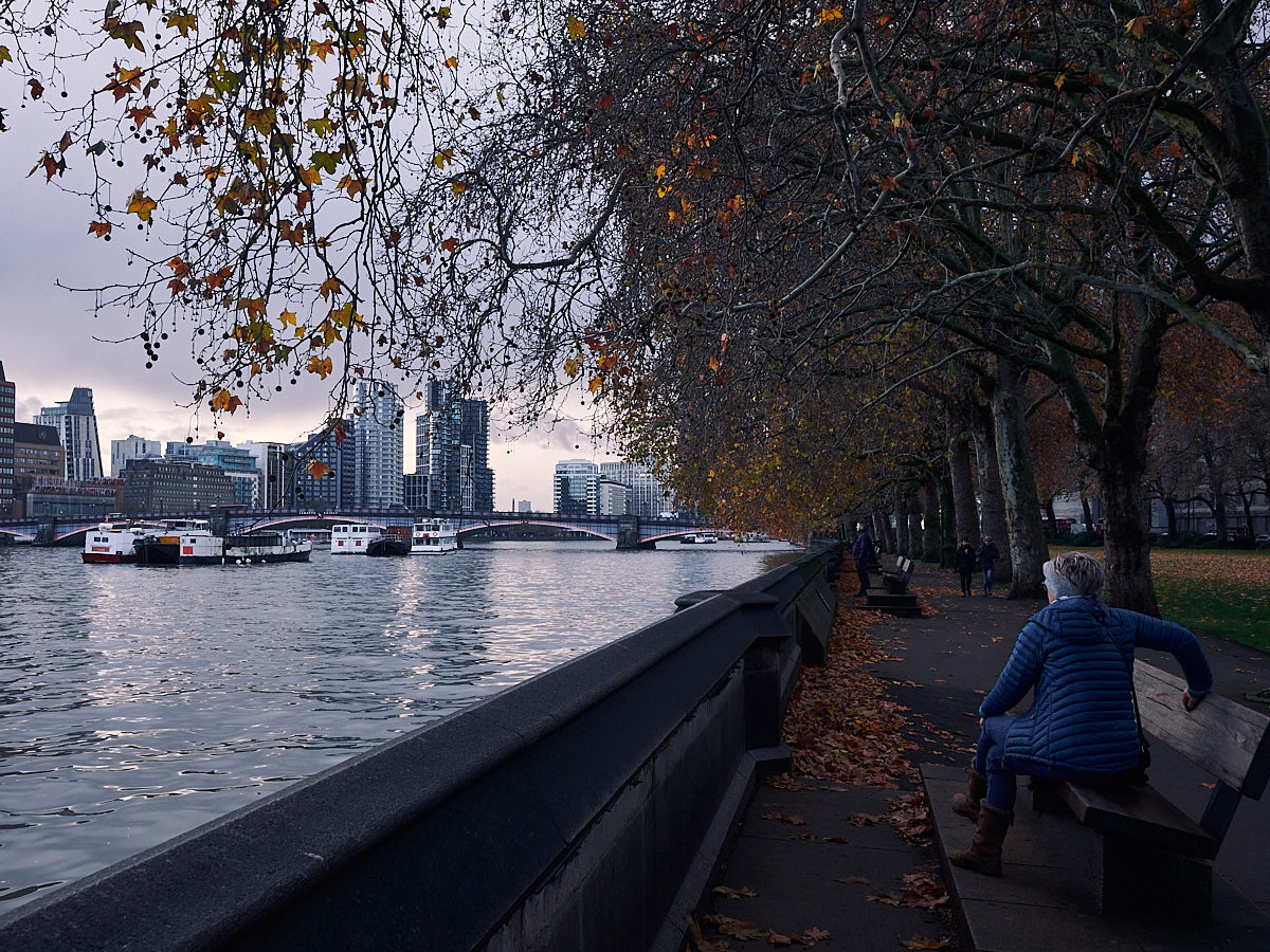 Esperando al otoño junto al Támesis Cumpleaños Londres-JPEG Fujistas.jpg