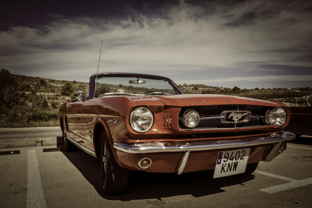 Esto es un Mustang.jpg