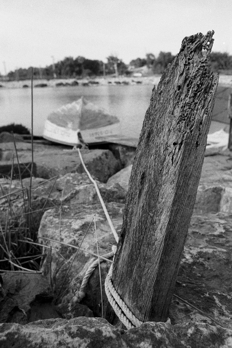 Estreno nikkor-n 24 2.8 con nikon f basica nov 2020 fomapan 200 a 400 d76 1+3 18min - (15).jpg