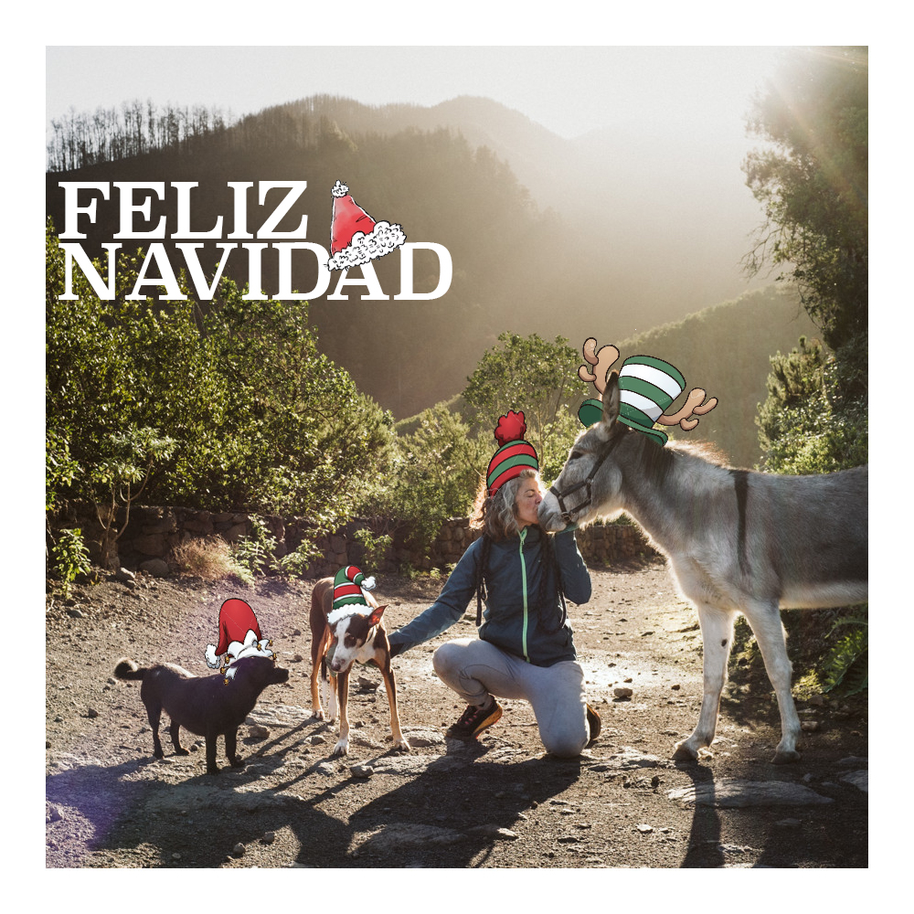 feliznavidad23.jpg