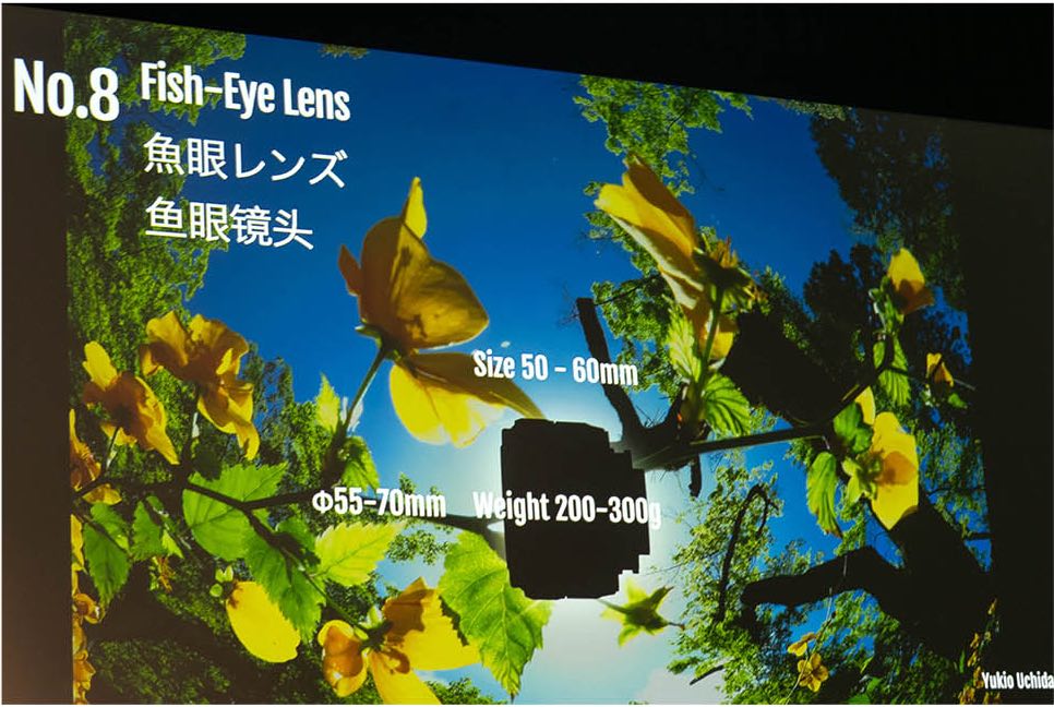 Fisheye-Lens.jpg