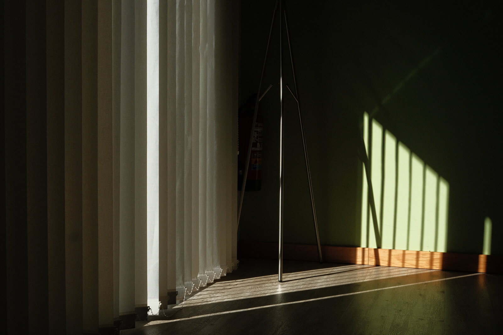 Foto de la semana 44.JPG