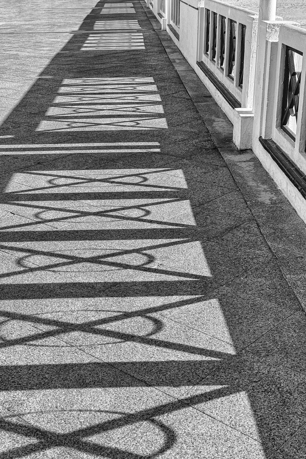 Foto-semana-39_09.jpg
