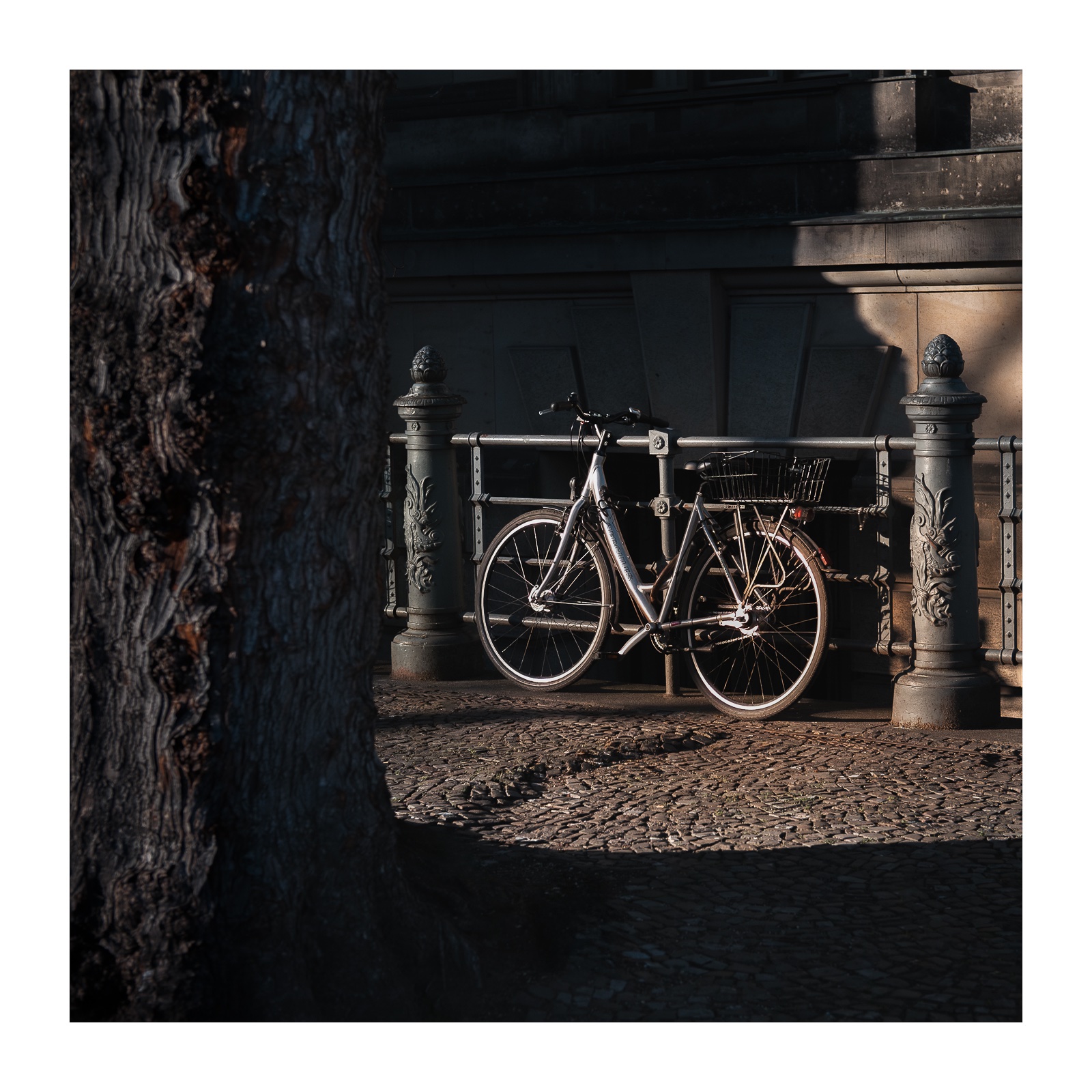 fotografo-berlin-bicicleta-gris-fachada-tronco-arbol-barandilla.jpg