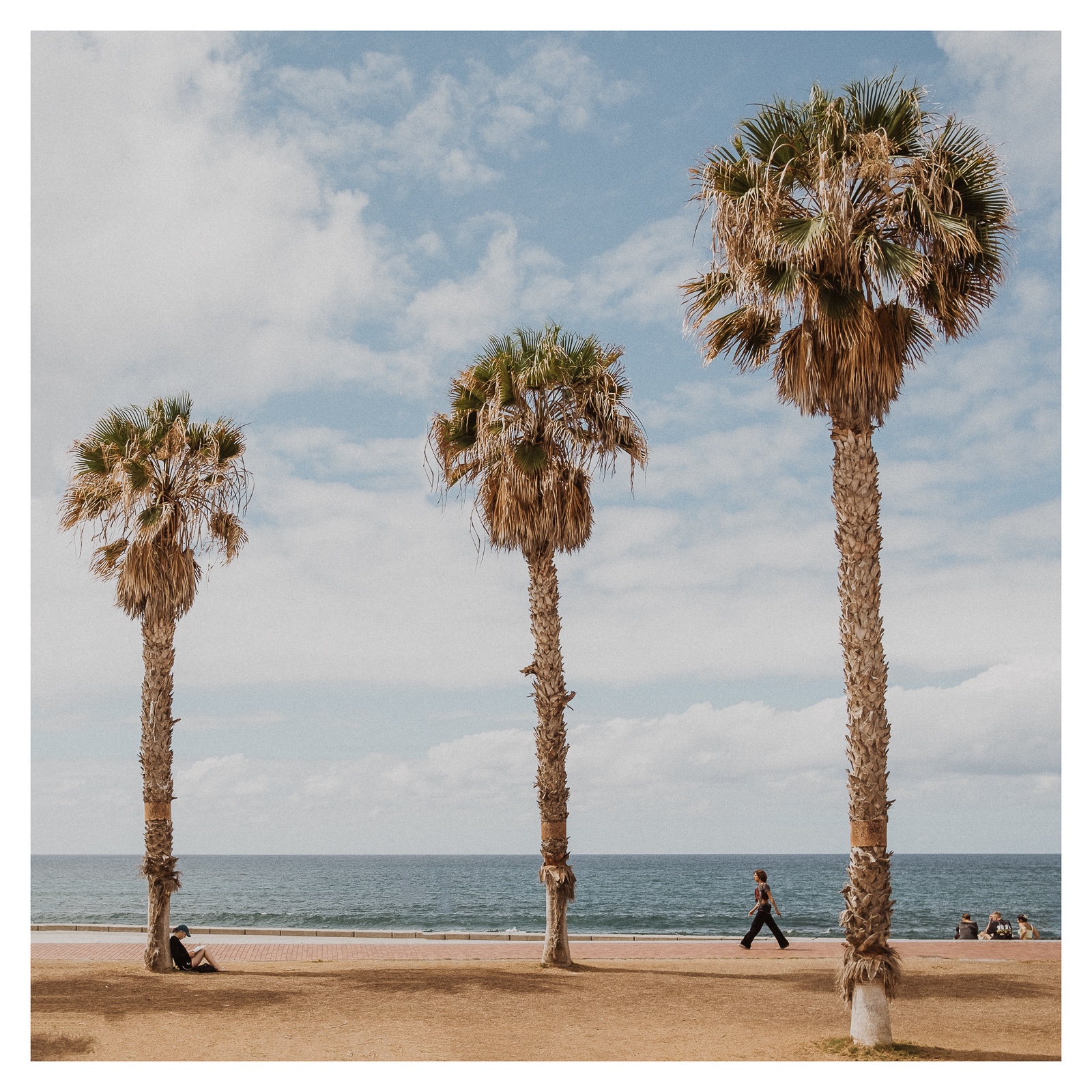 fotografo-gran-canaria-personas-palmeras-cielo-nubes.JPG