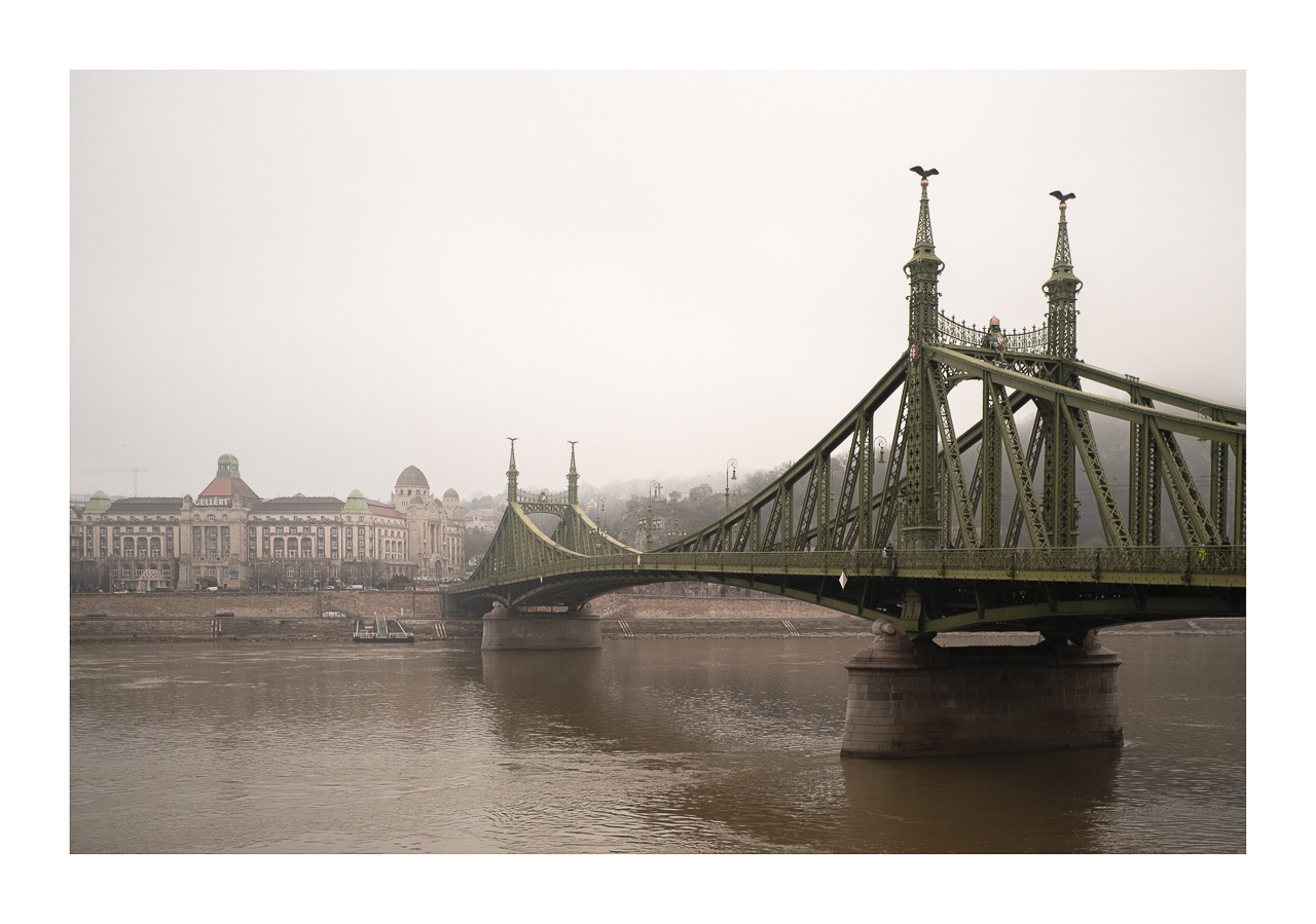 fotografo-hungria-budapest-puente-libertad-rio-danubio.JPG