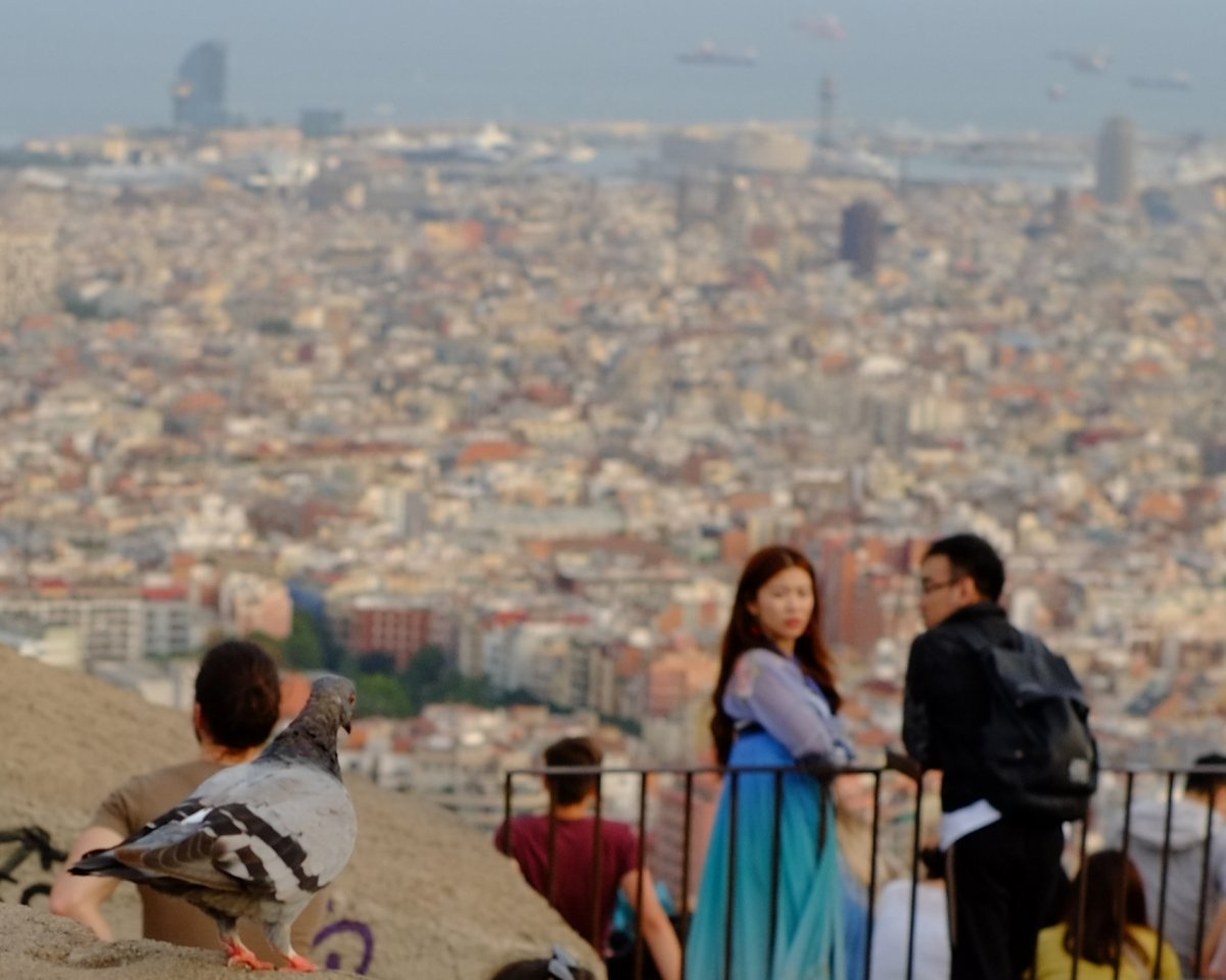 La ciudad a vista de pájaro