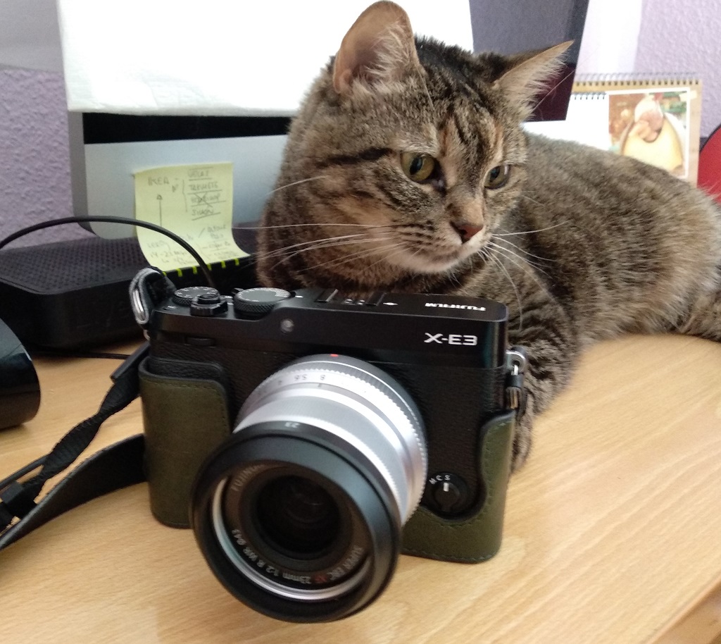 fuji1.jpg