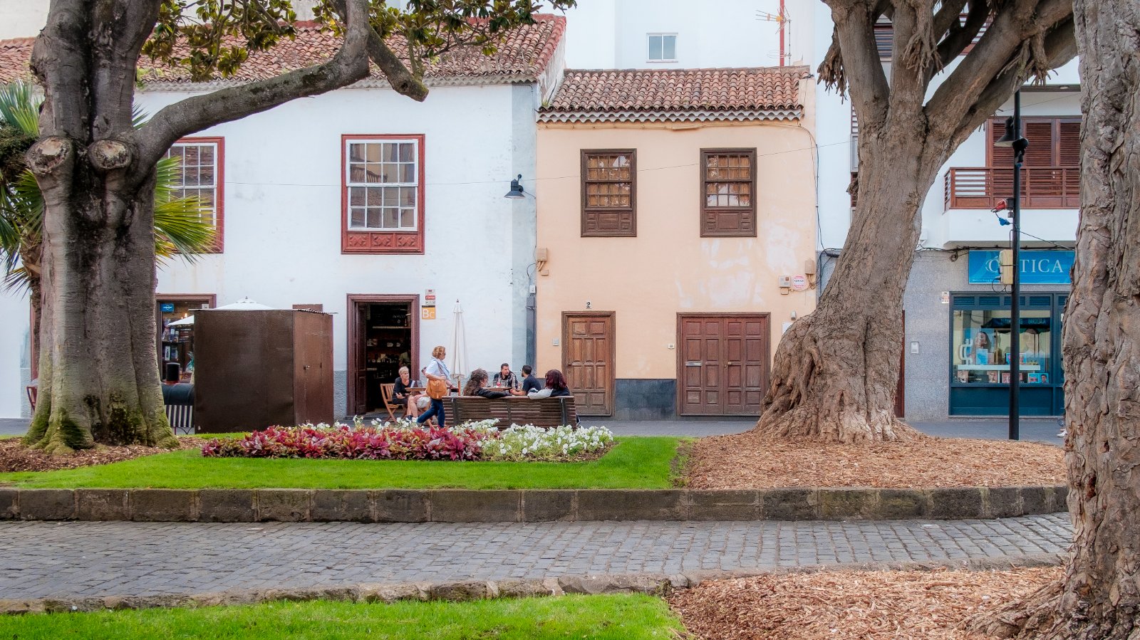 Fujinon 18mm f2 202510-16.jpg