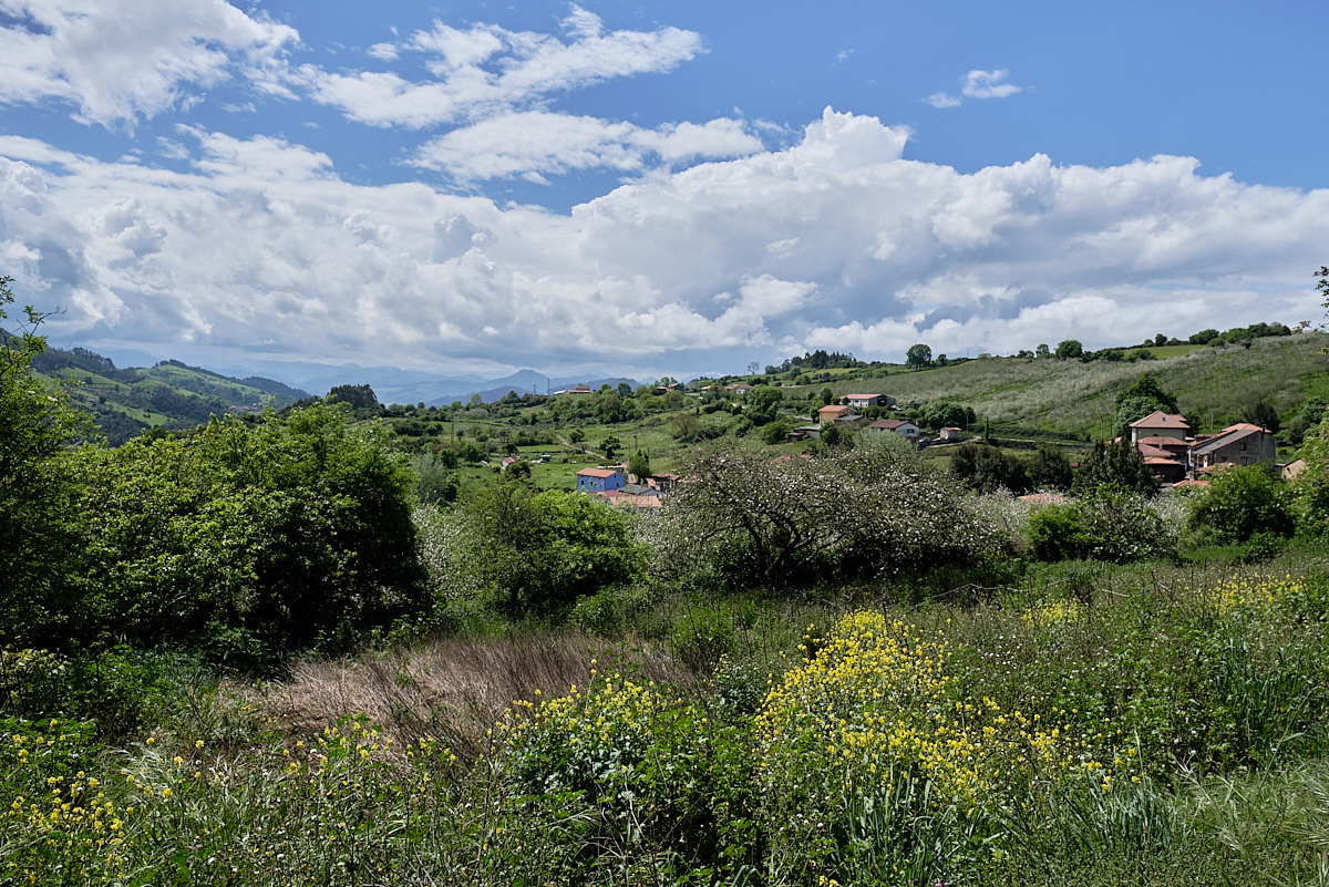 Paisaje rural asturiano