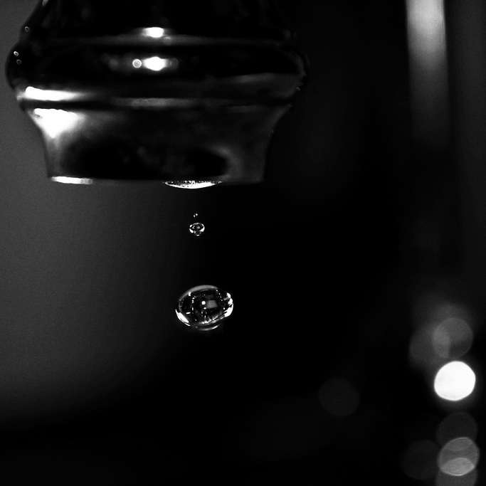 Gota