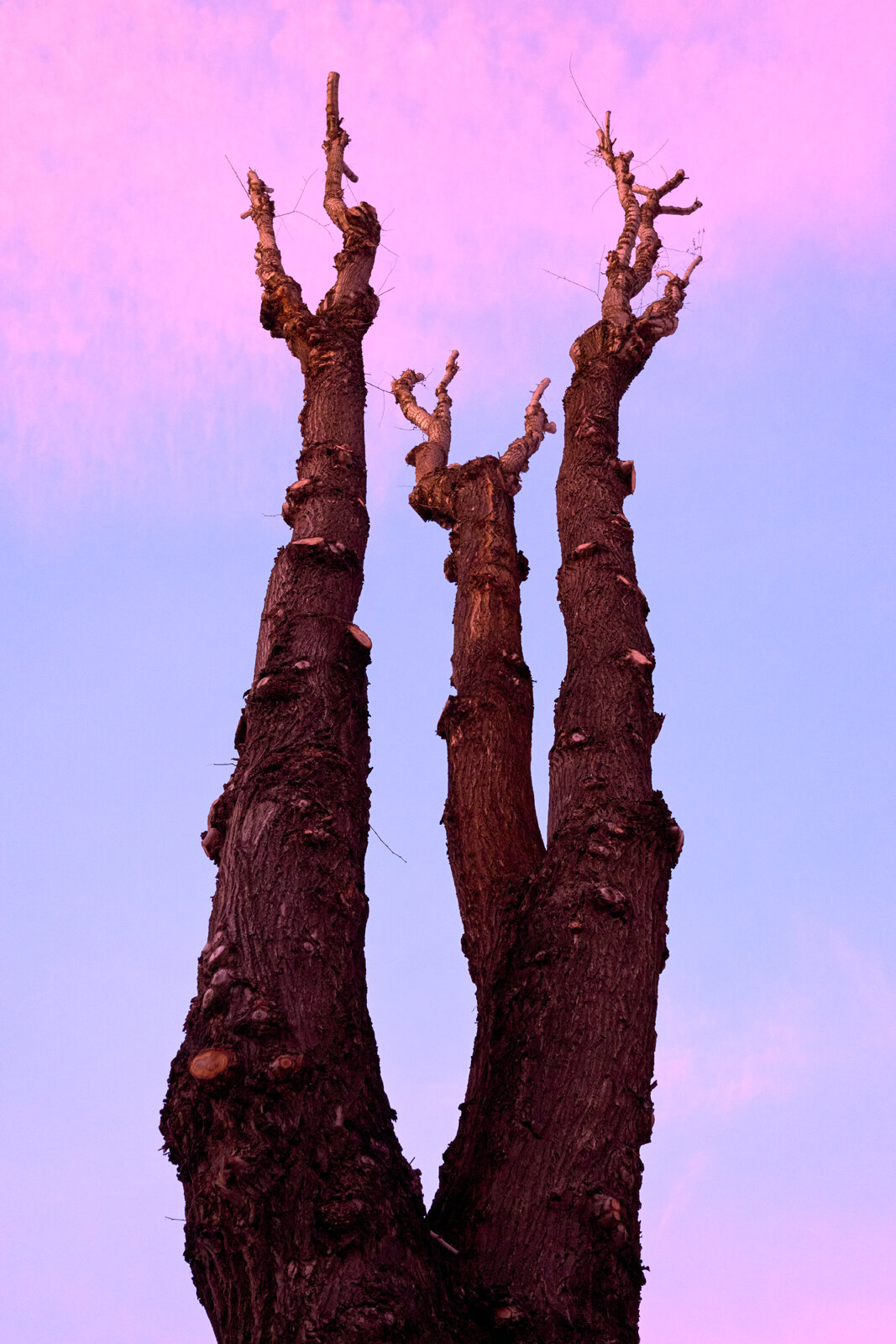 GX001550.jpg
