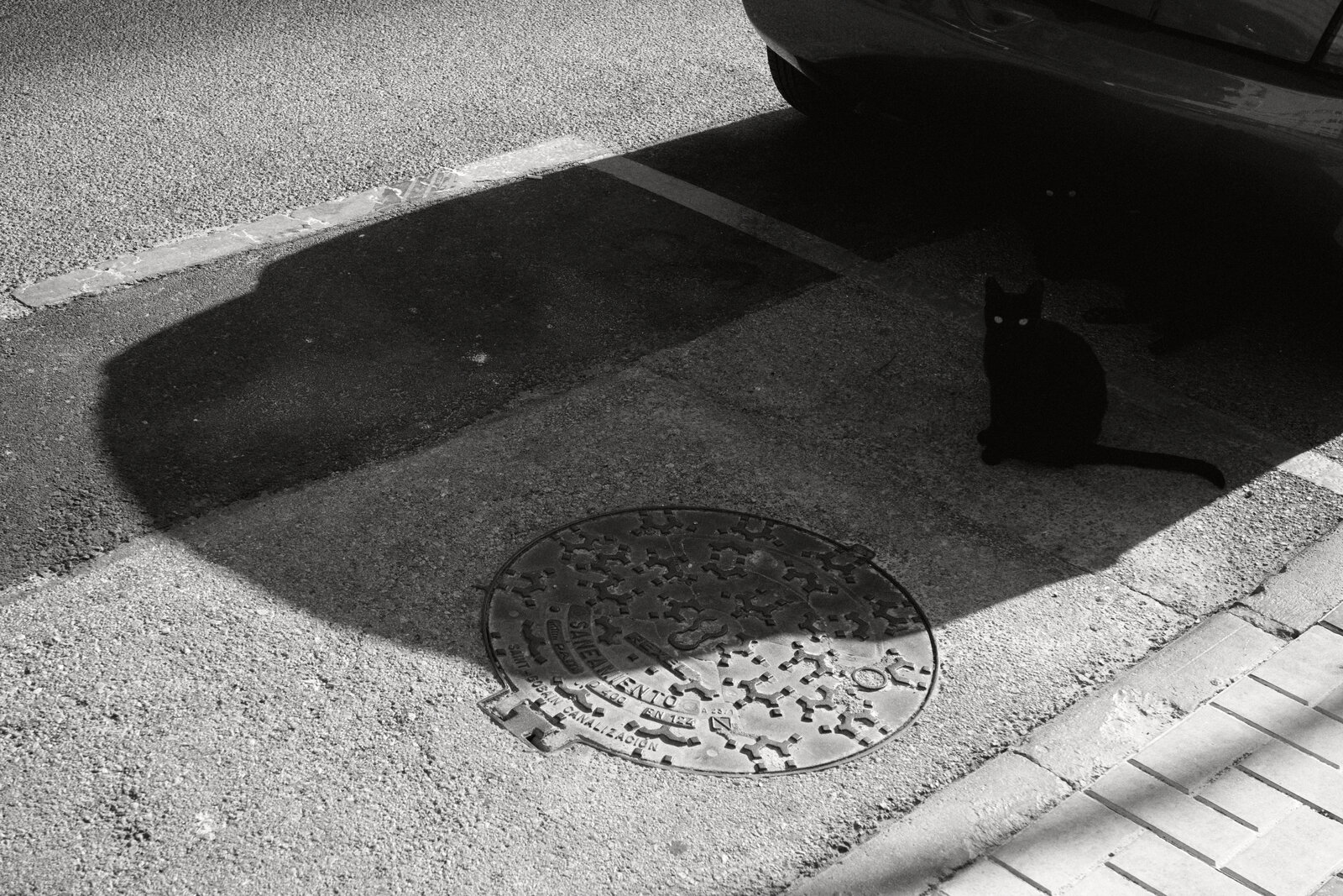 GX002338.jpg