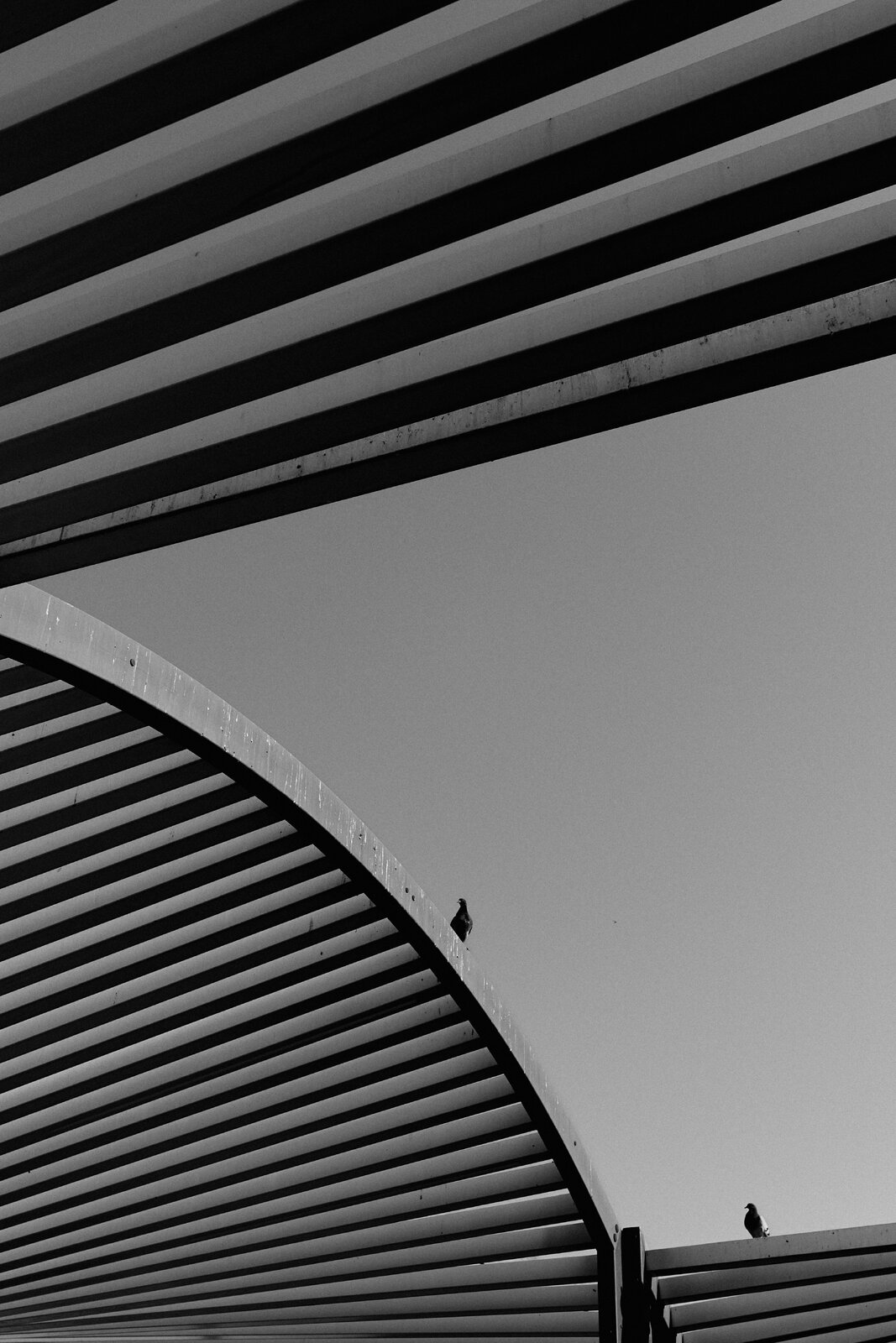 GX002399.jpg